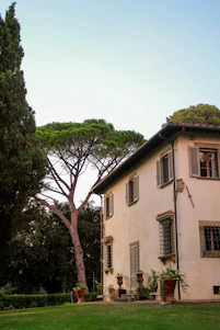A stucco villa with tall trees and green lawn.