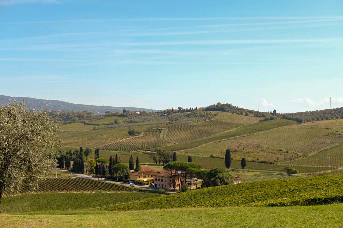 Borgo delle Querce