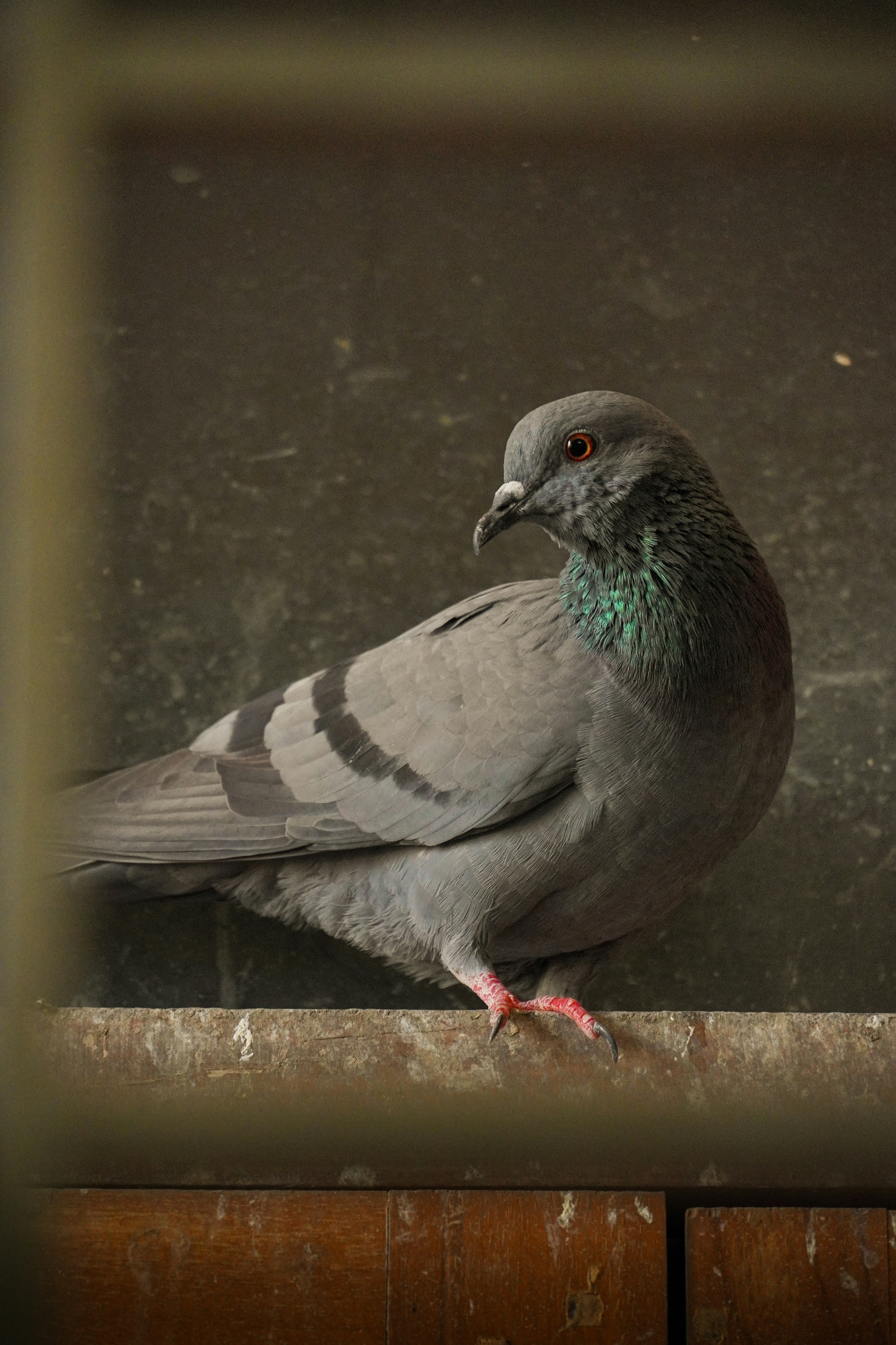 Photo by jatinsinger_2003