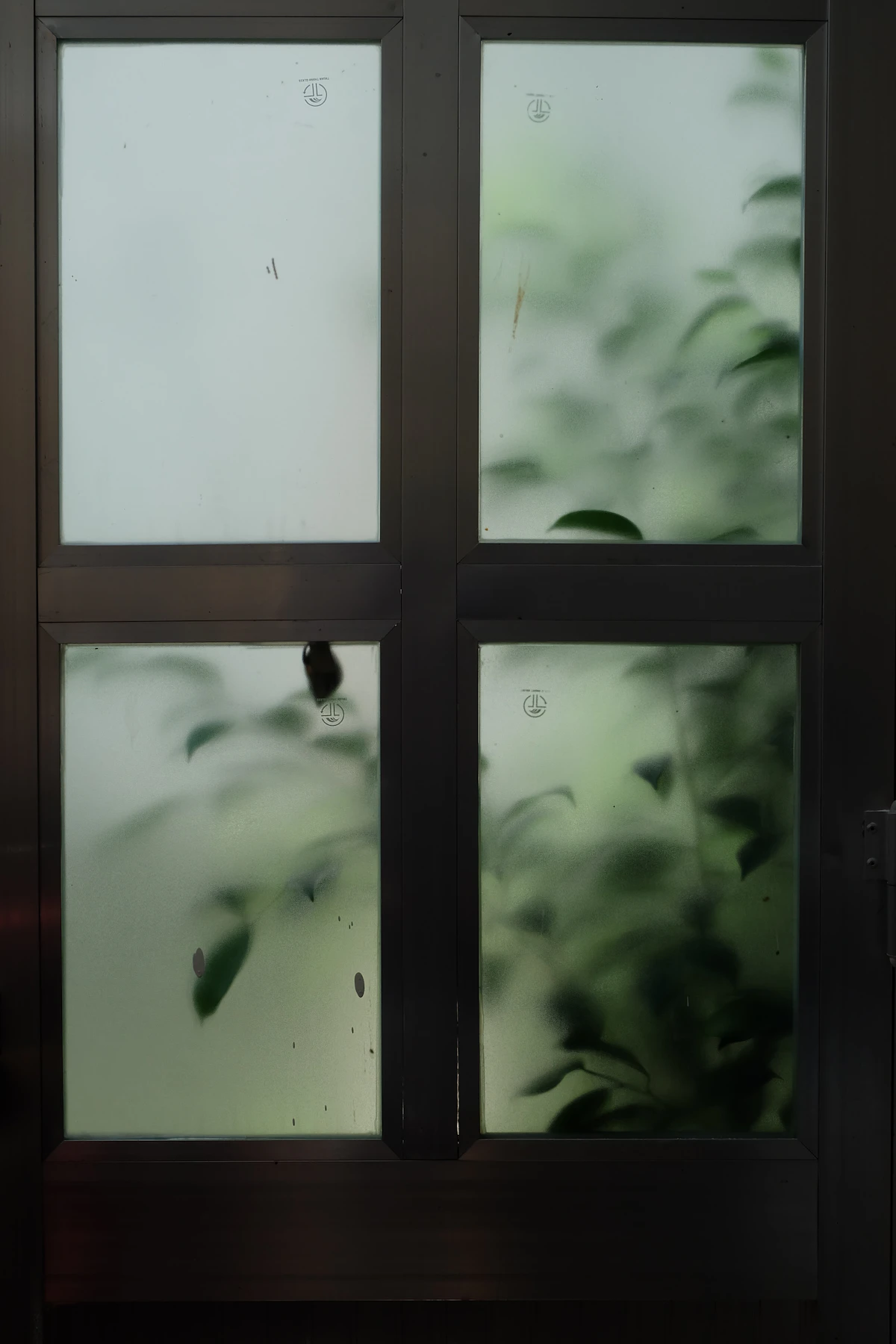 Pintu kaca buram dengan dedaunan hijau kabur di baliknya