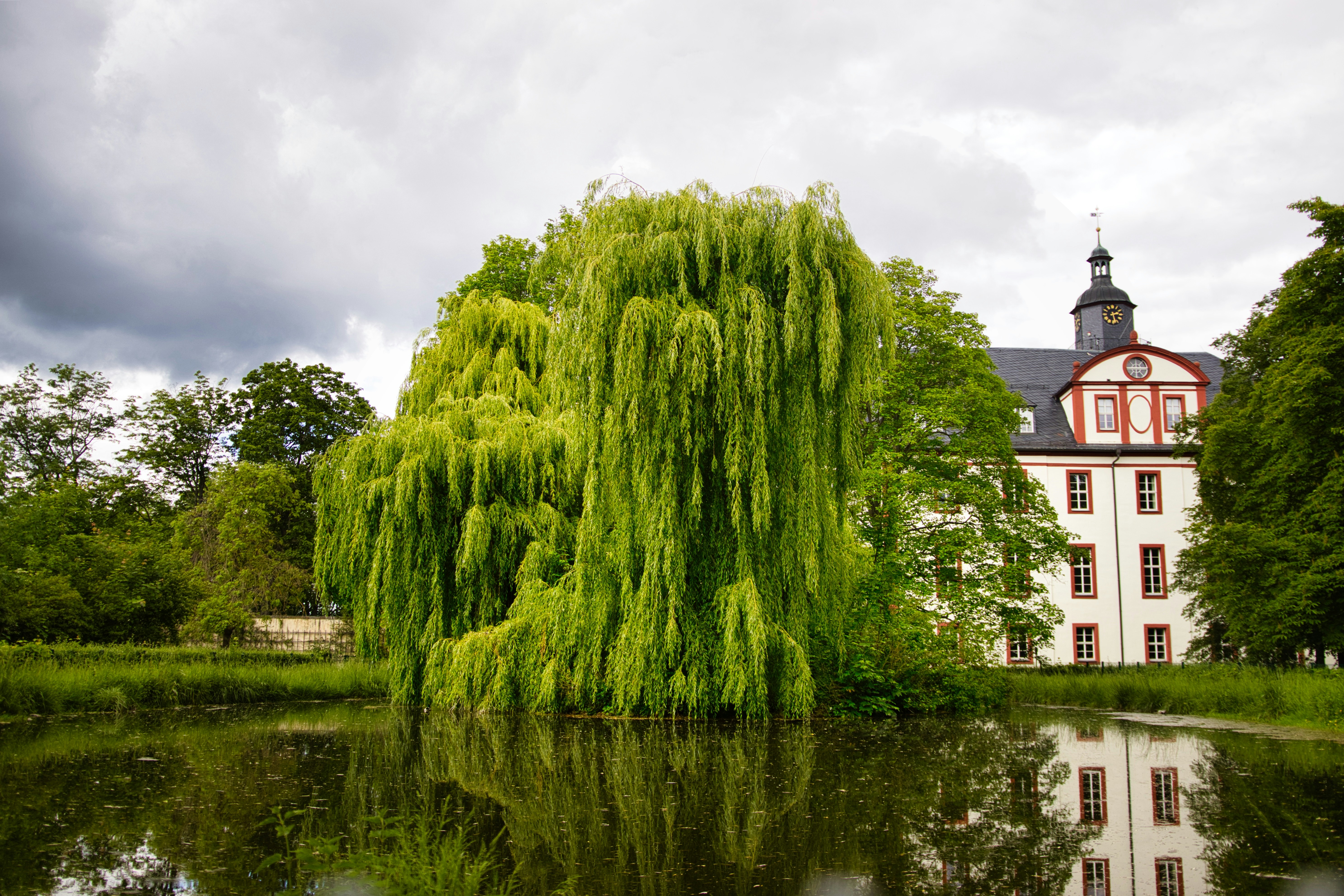 Photo by paws_and_prints