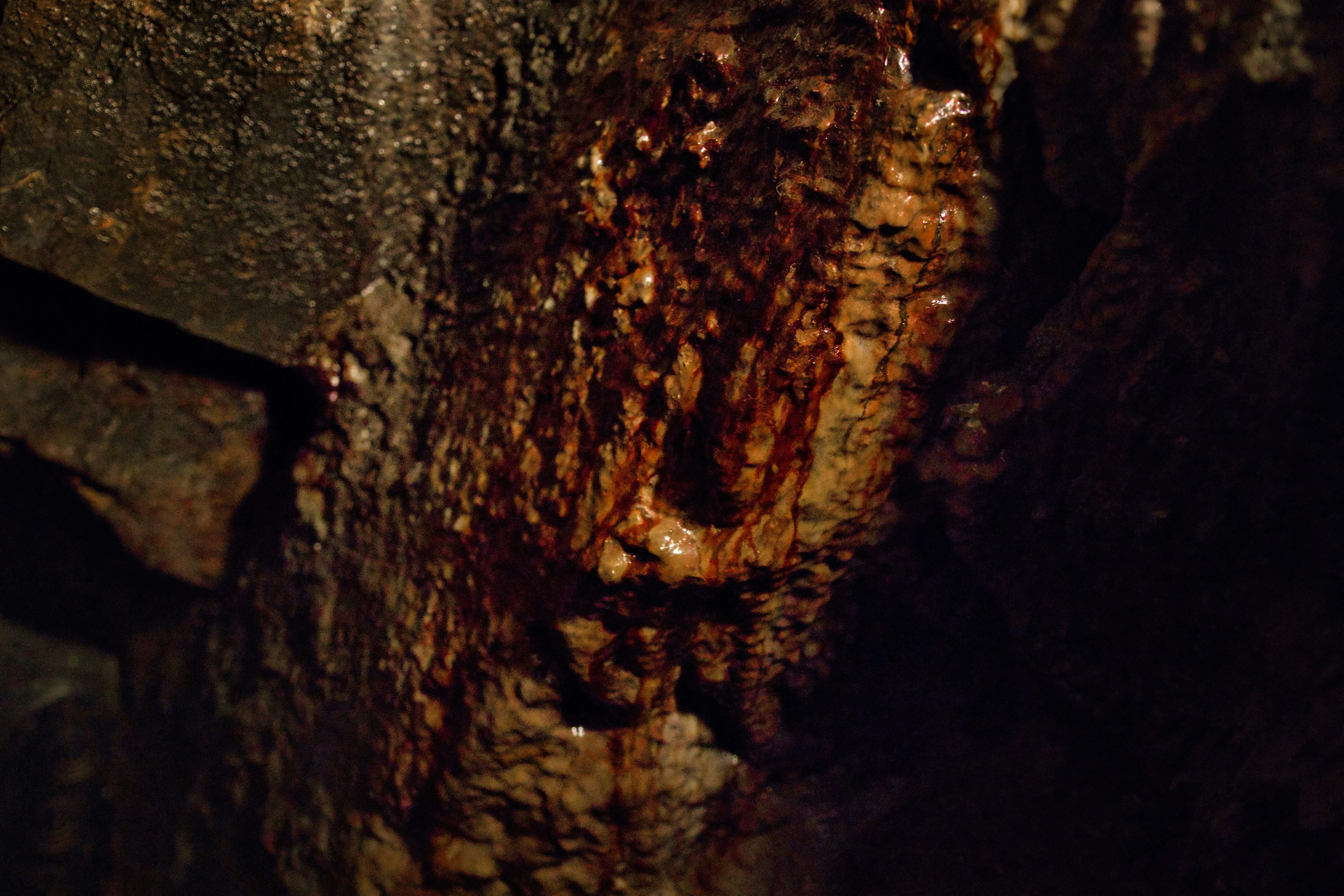 Photo by paws_and_prints