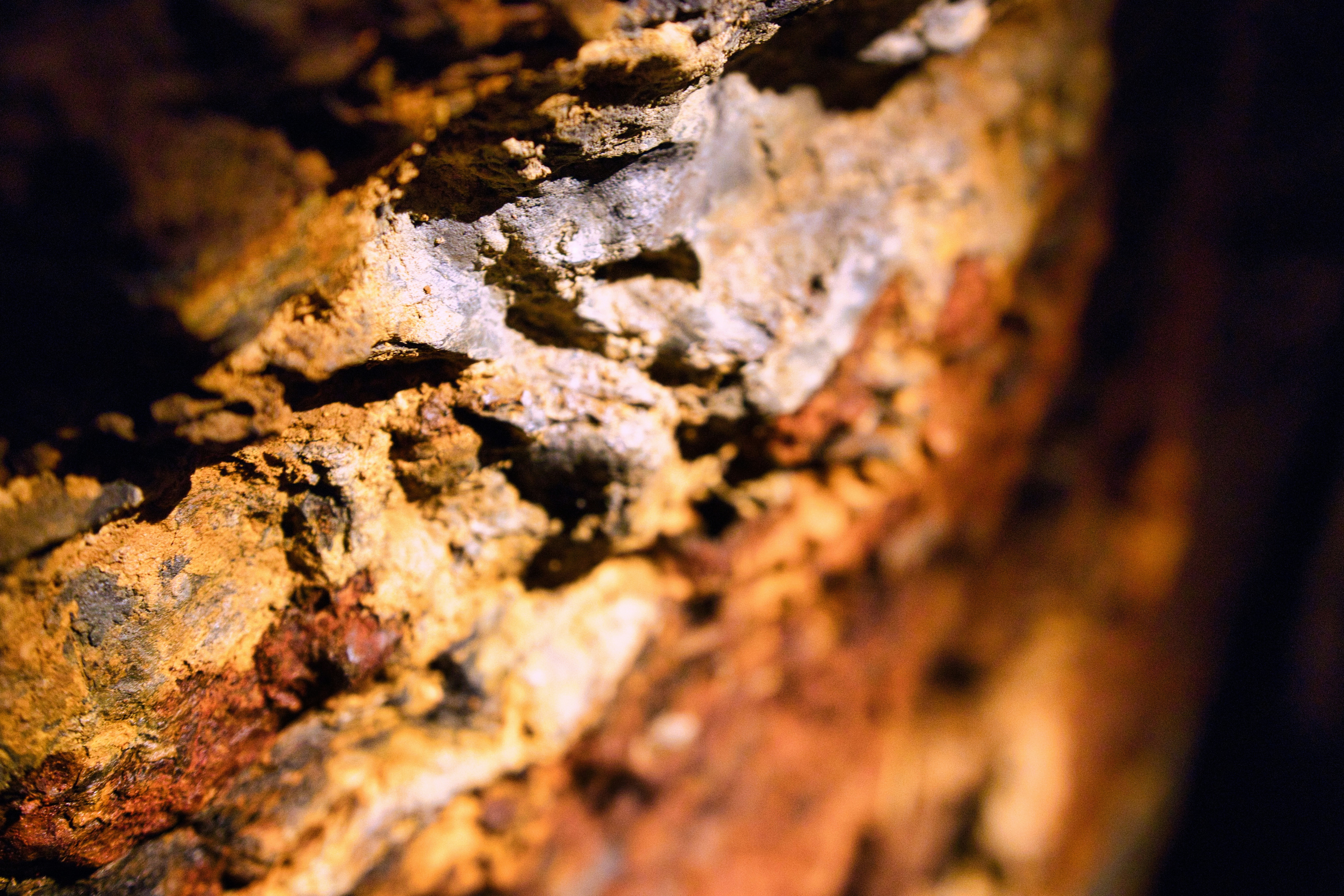 Photo by paws_and_prints