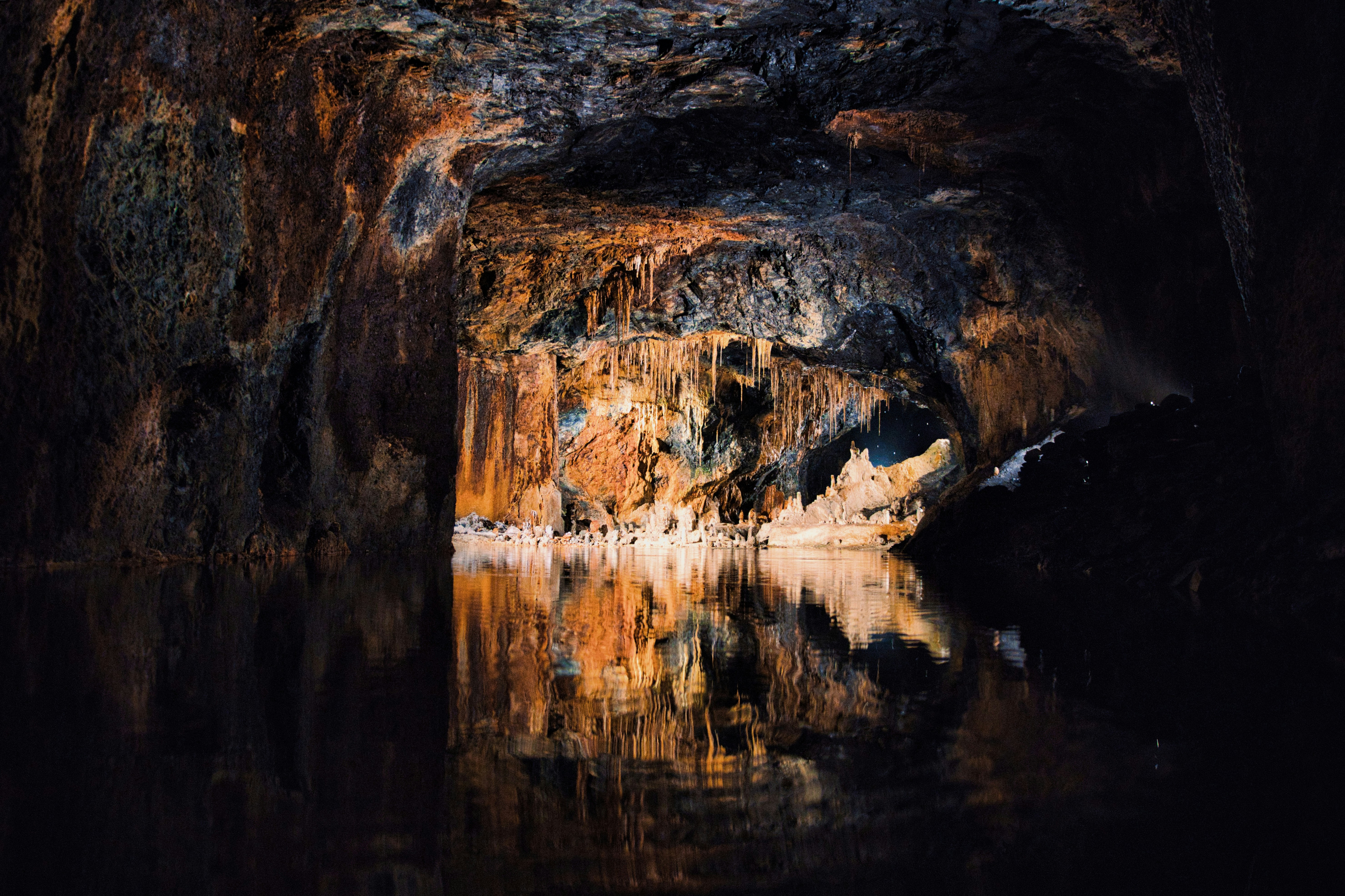 Photo by paws_and_prints