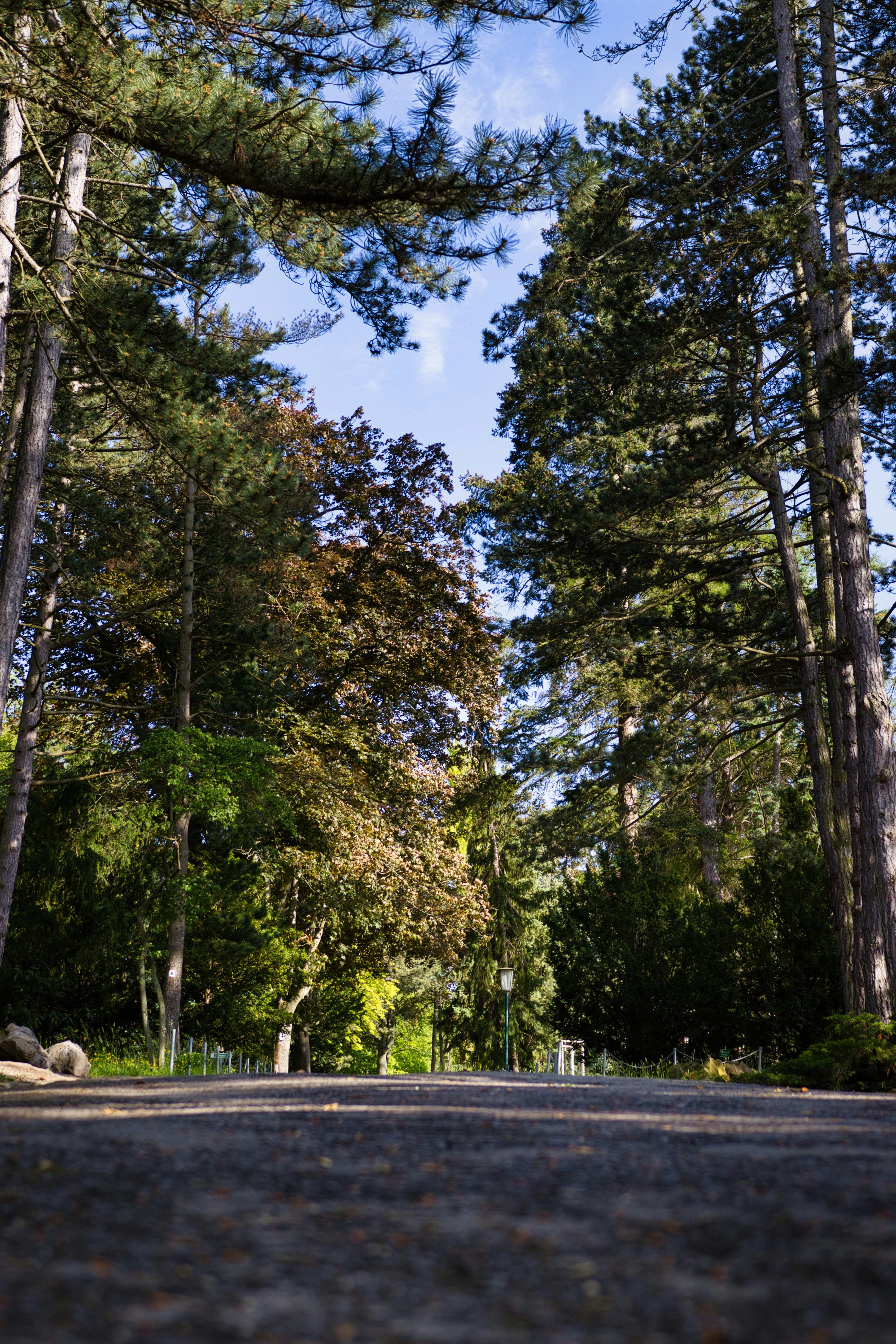 Photo by paws_and_prints