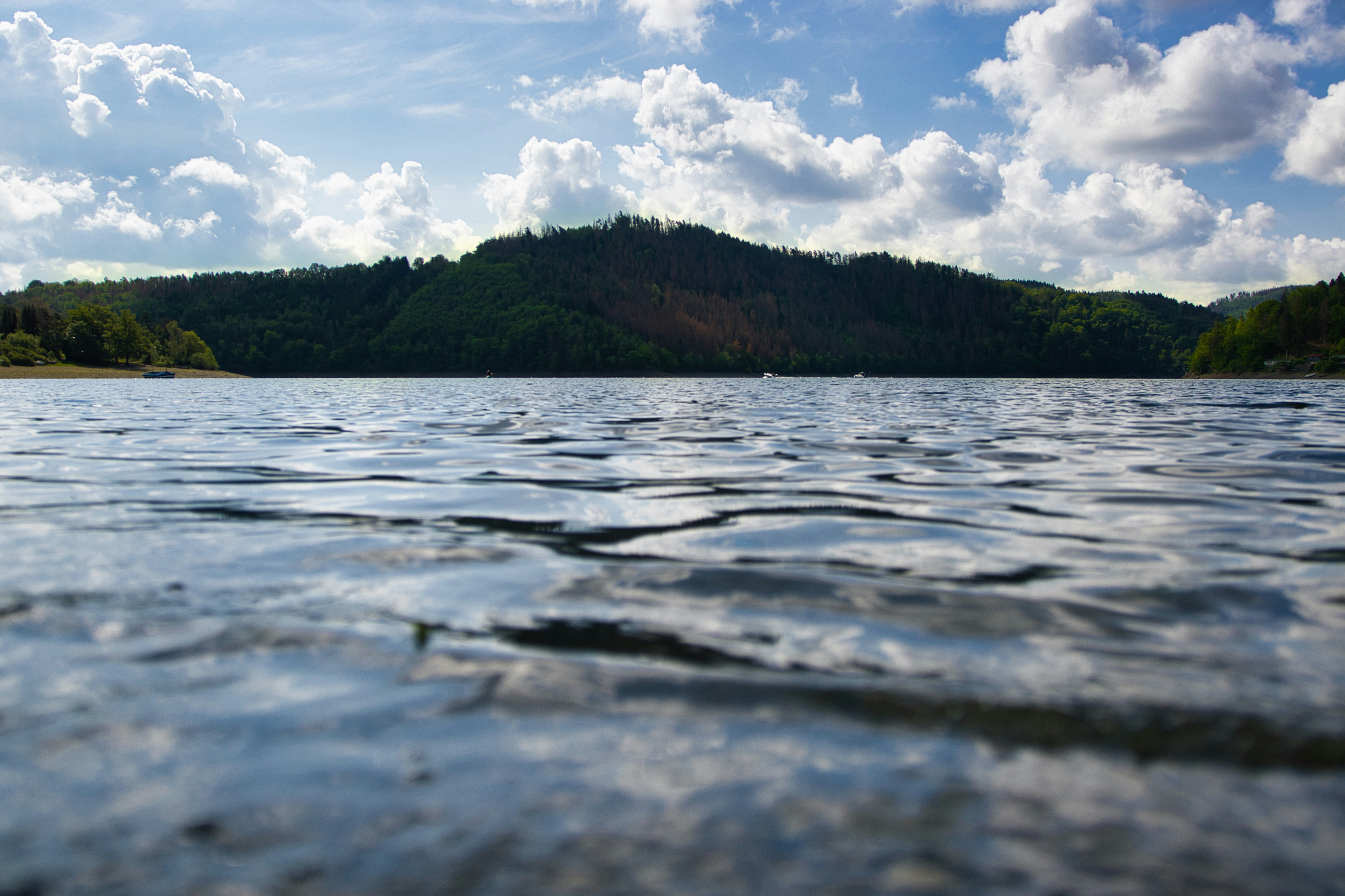 Photo by paws_and_prints