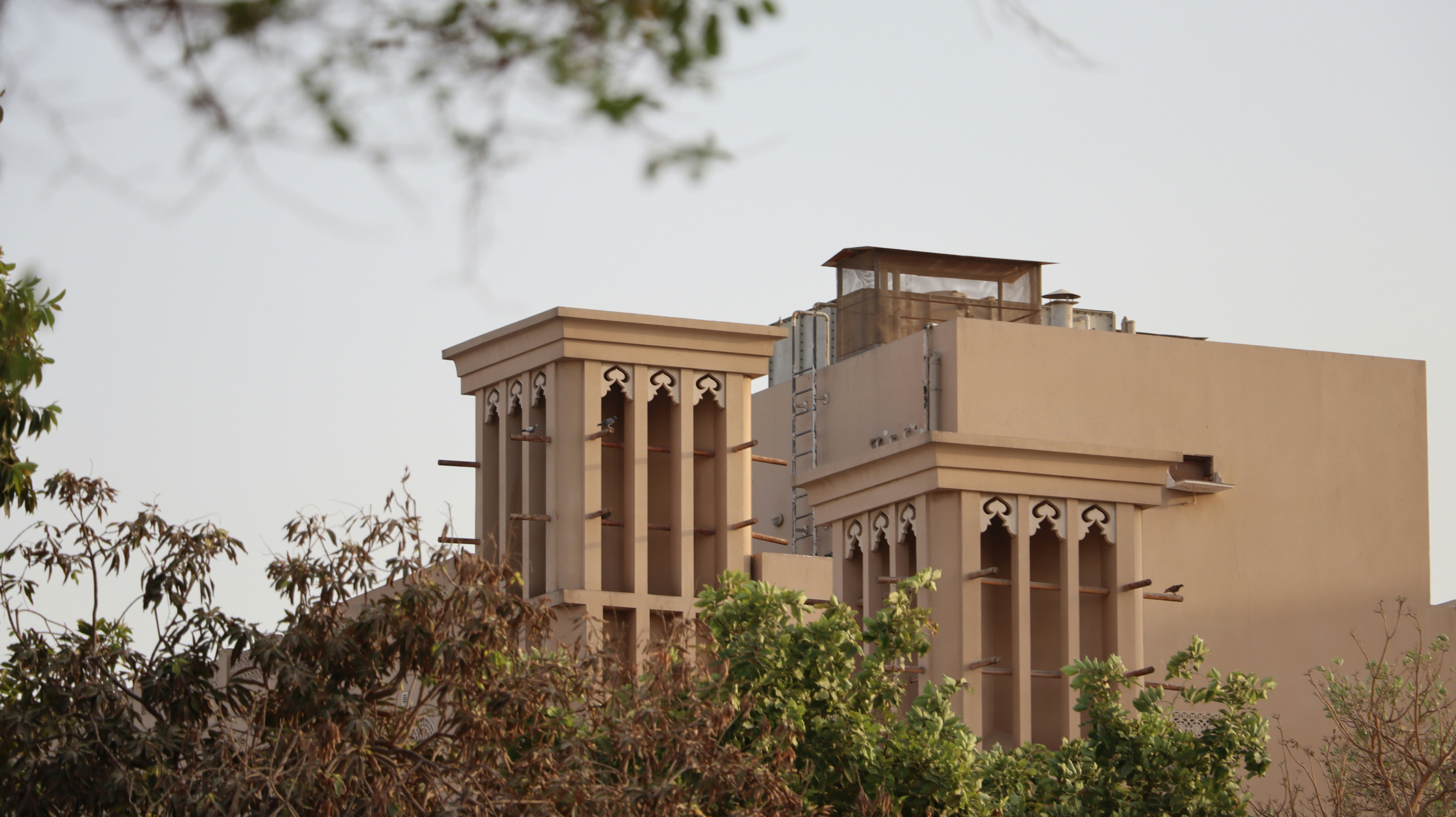 Photo by aditya_sethia_97