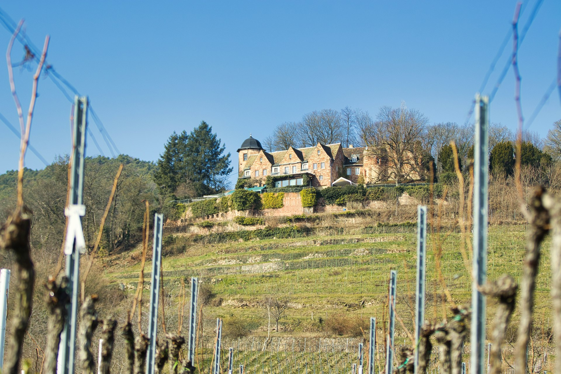 Rheingau Weinorte
