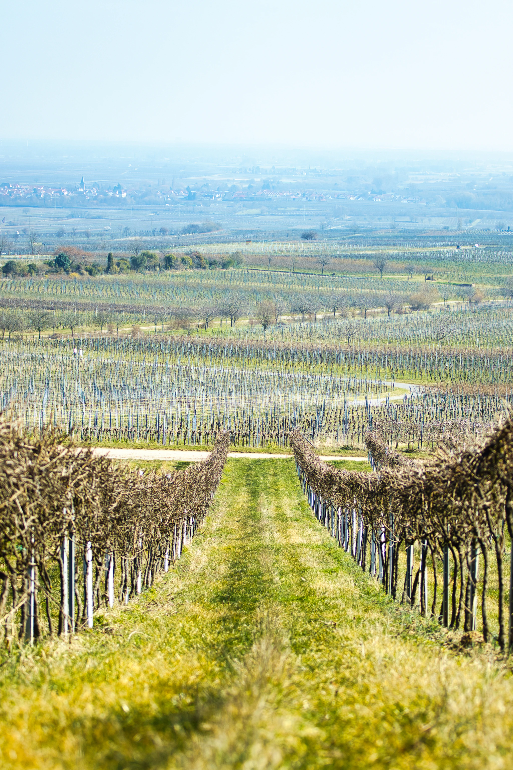 Burgenland