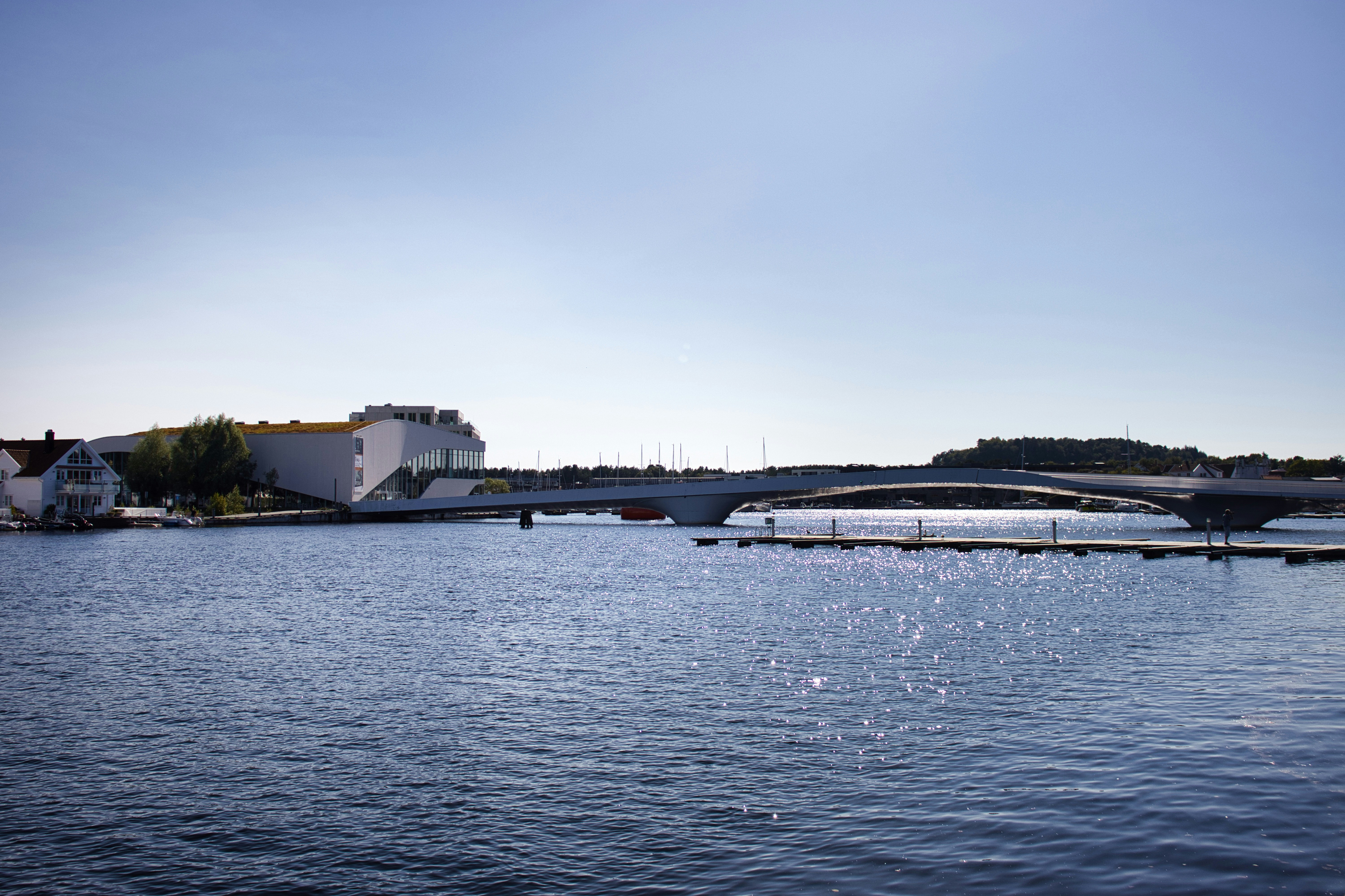 Photo by paws_and_prints