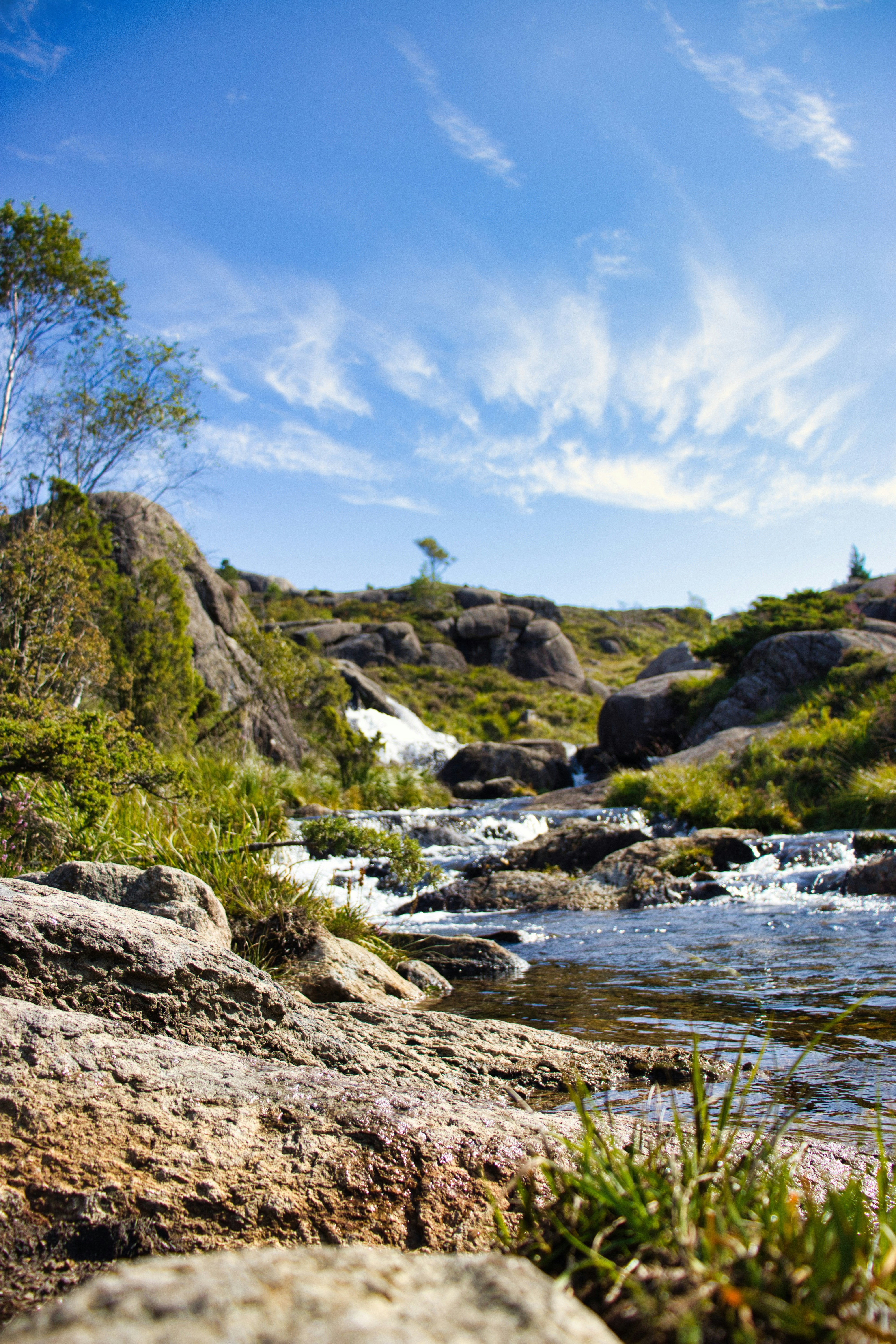 Photo by paws_and_prints