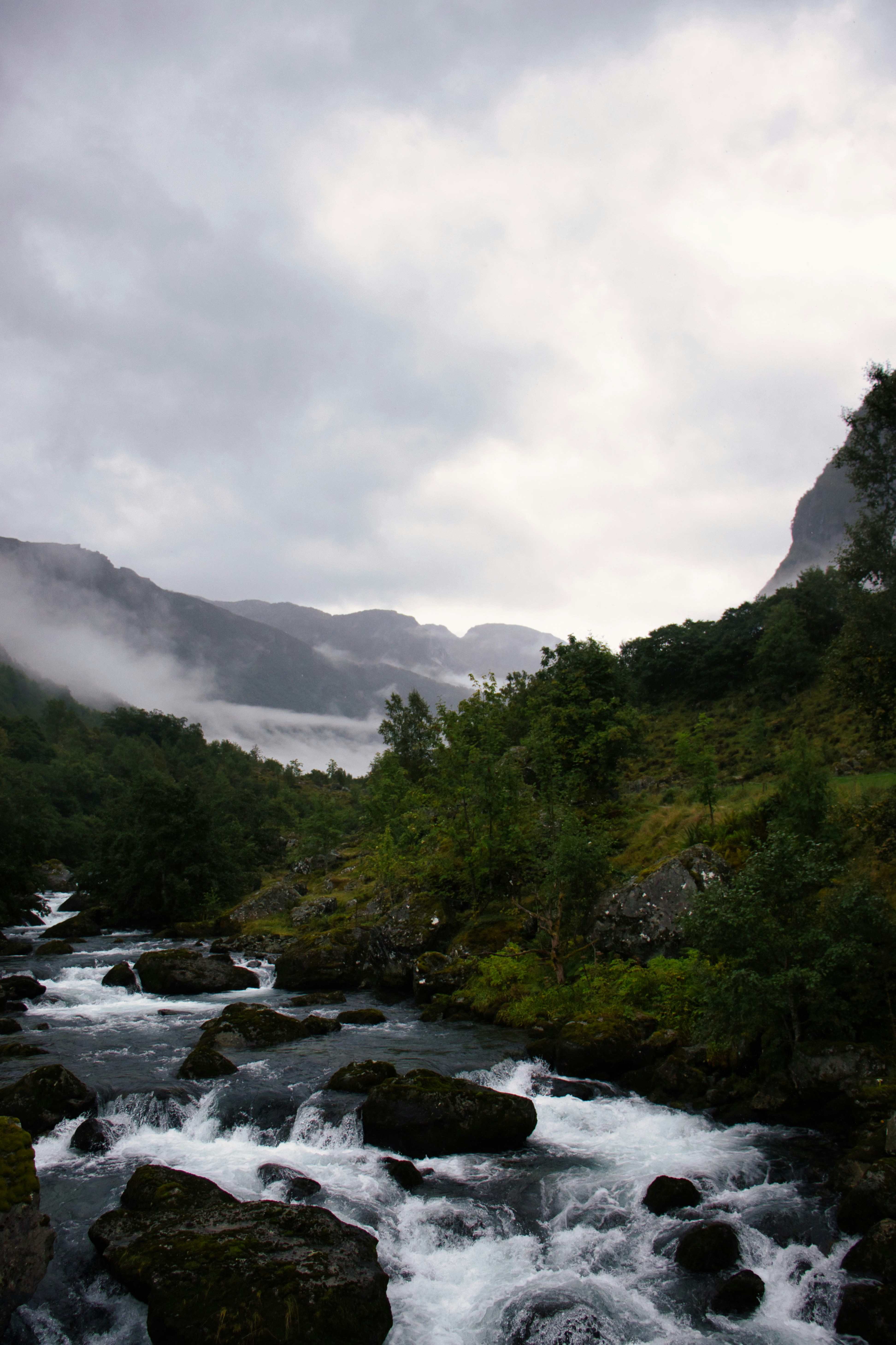 Photo by paws_and_prints