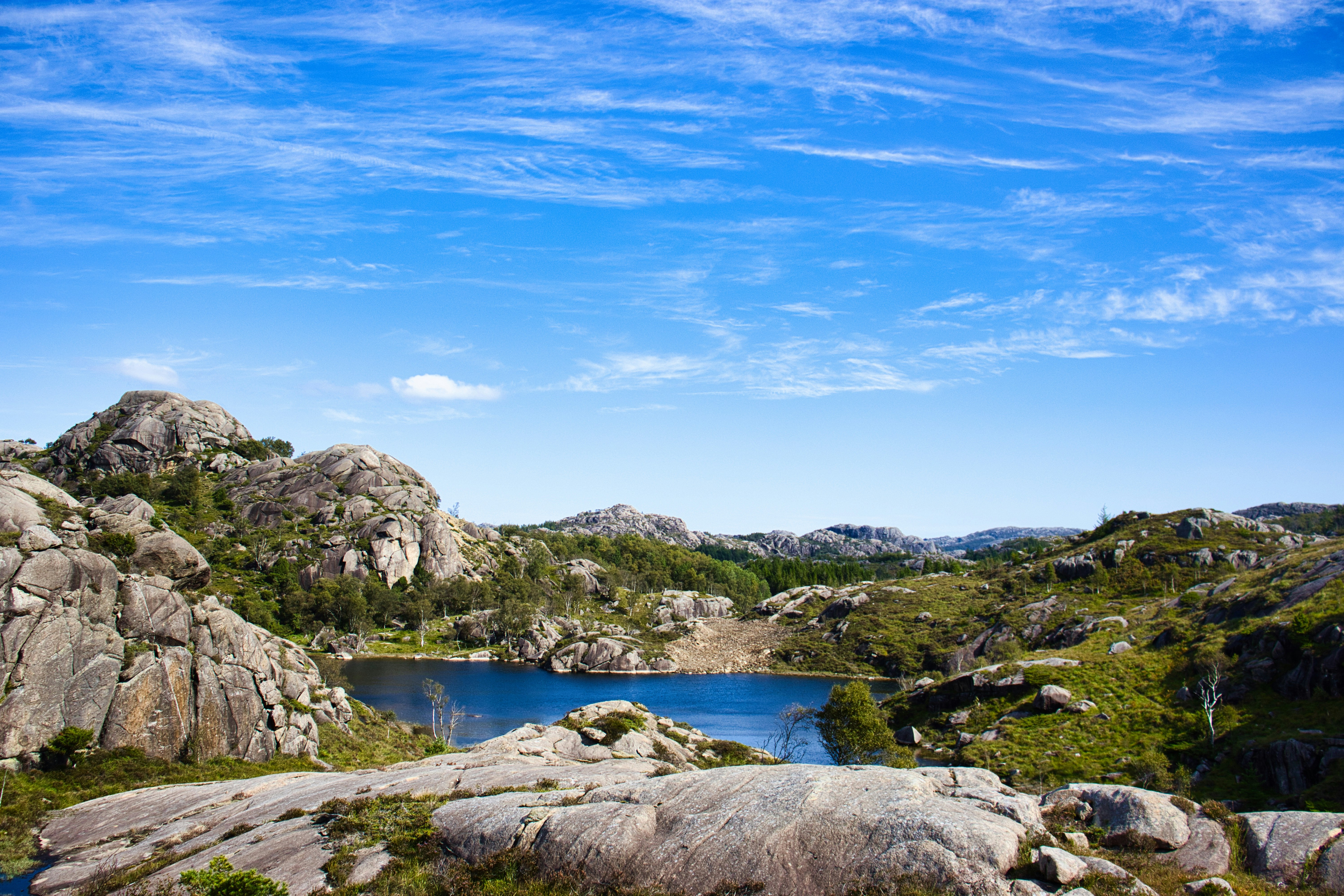 Photo by paws_and_prints