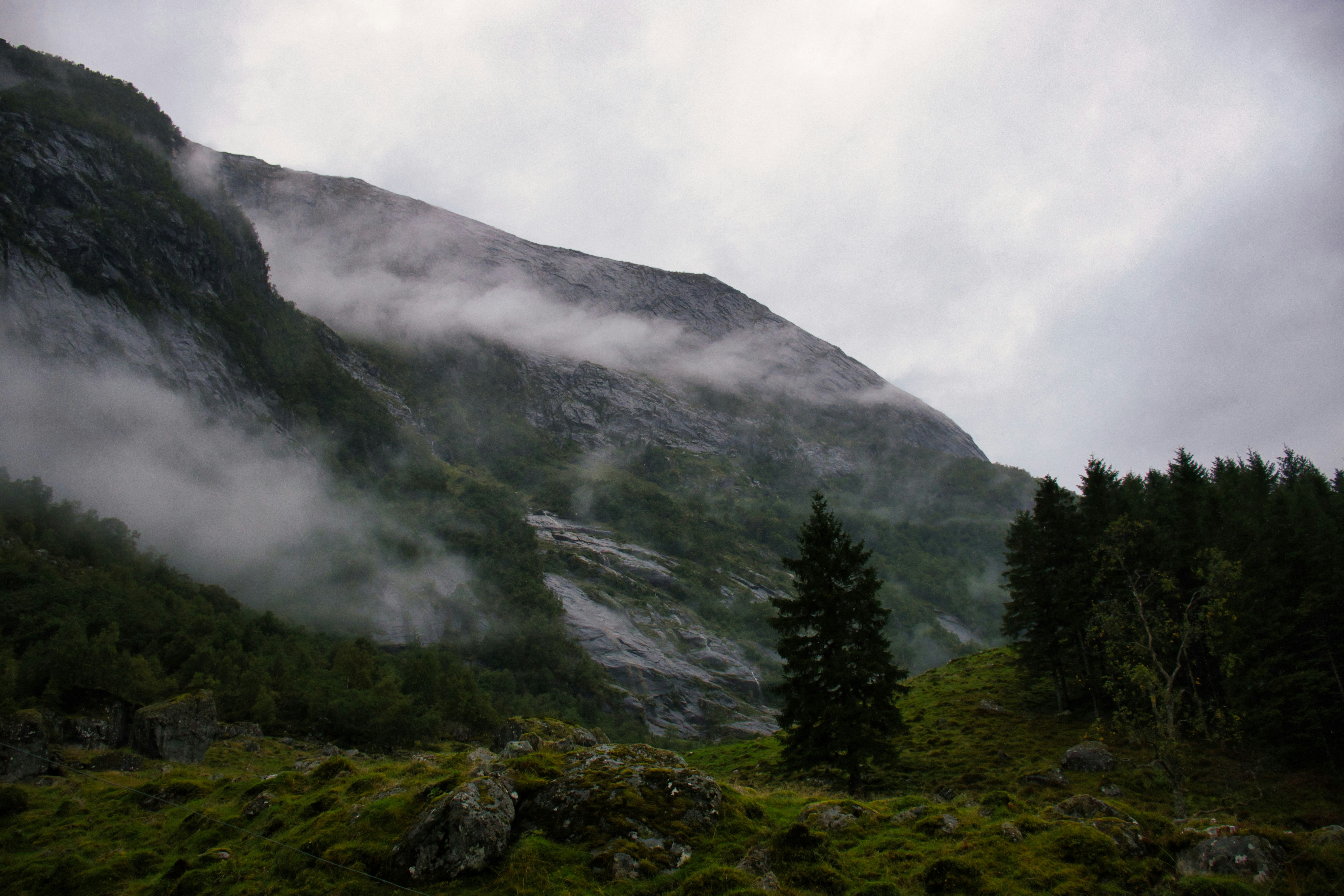 Photo by paws_and_prints