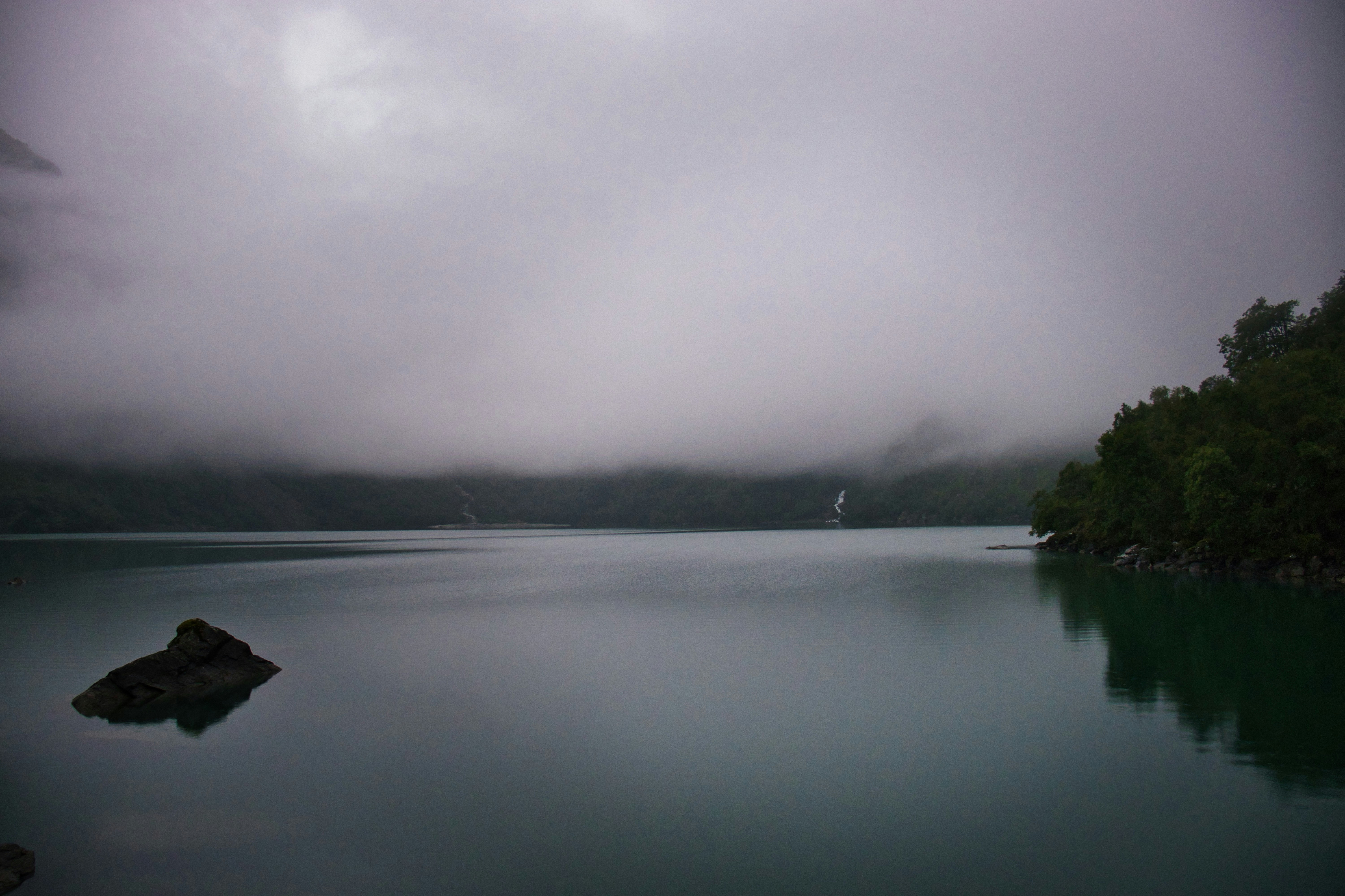 Photo by paws_and_prints