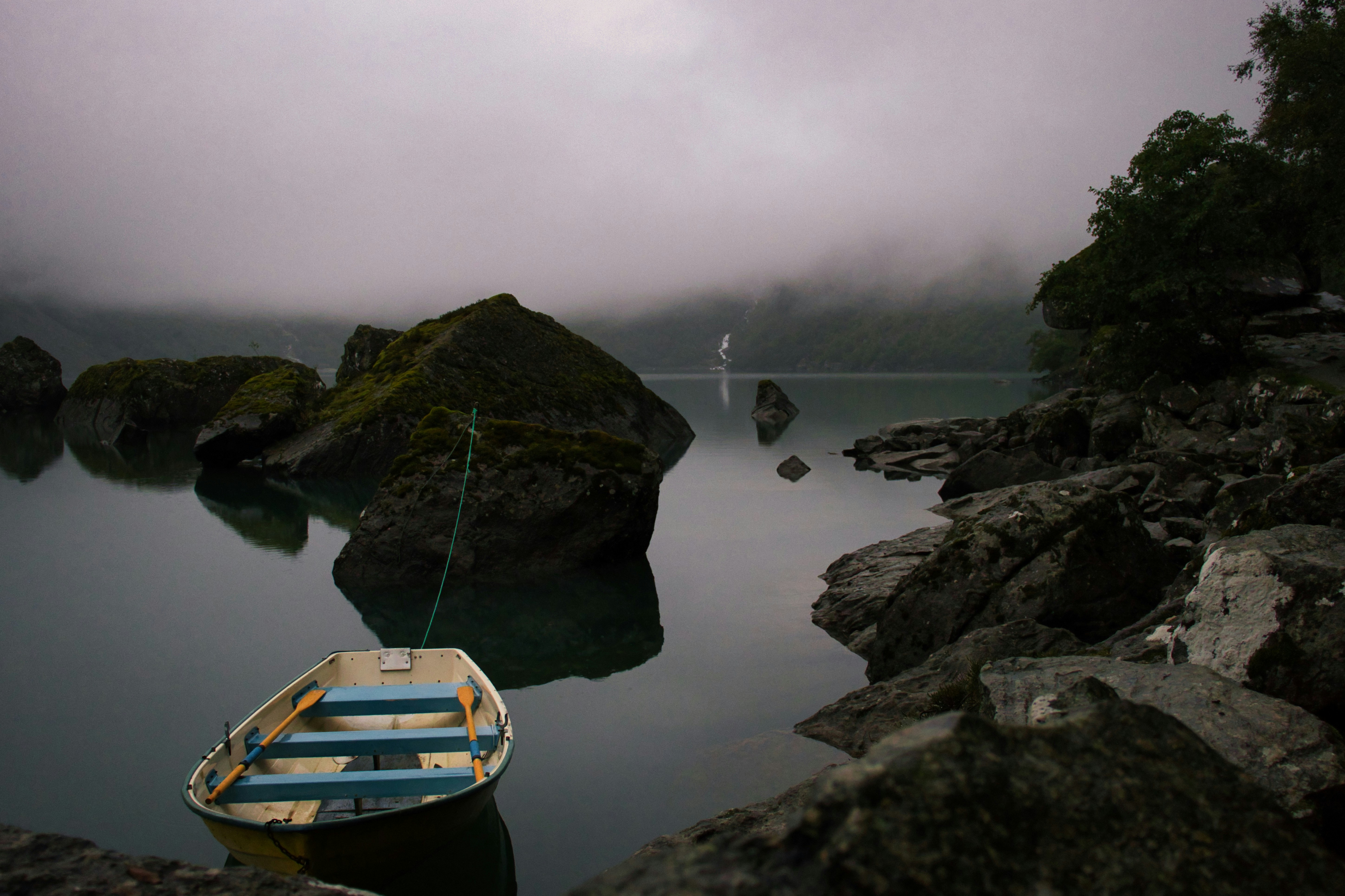 Photo by paws_and_prints