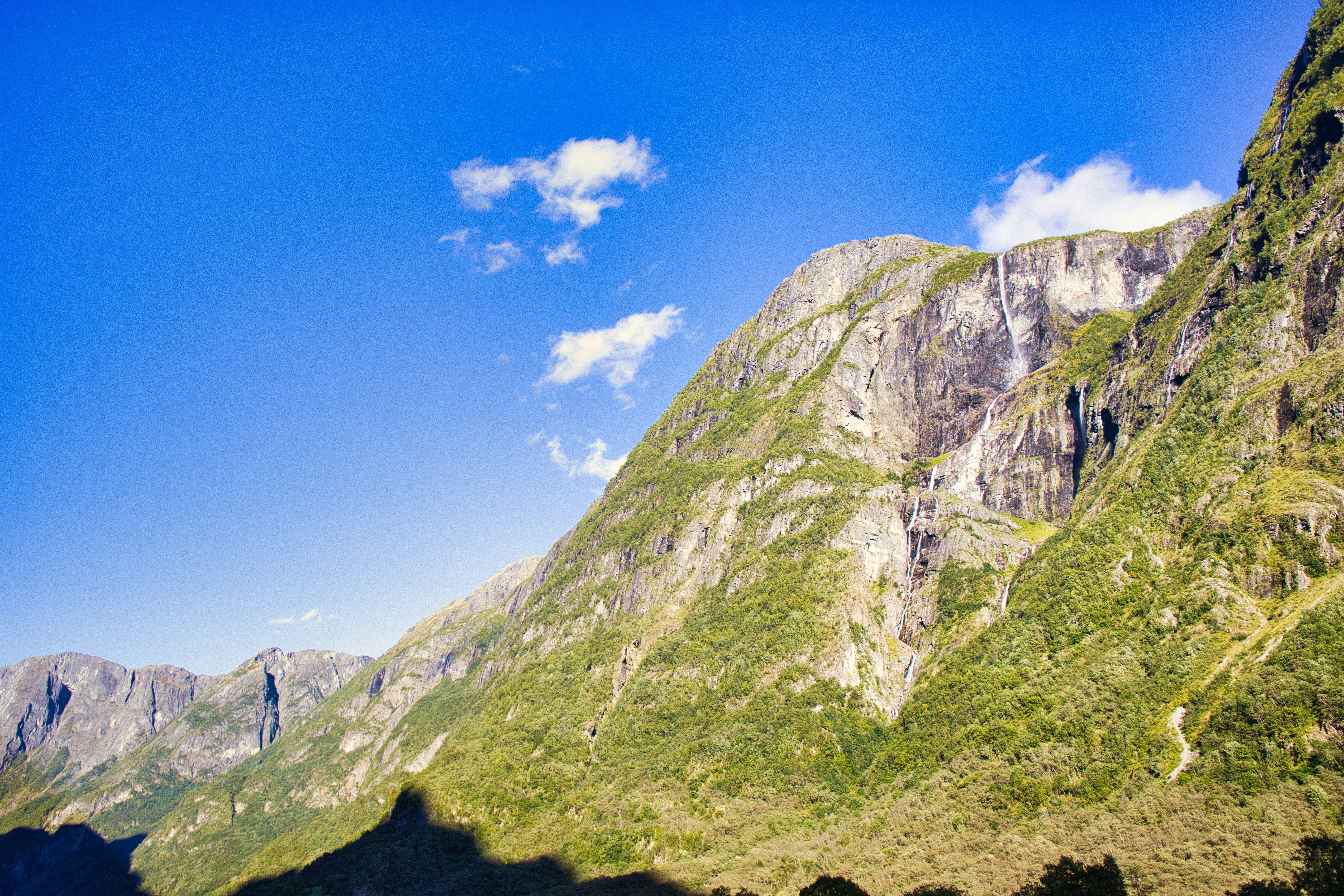 Photo by paws_and_prints