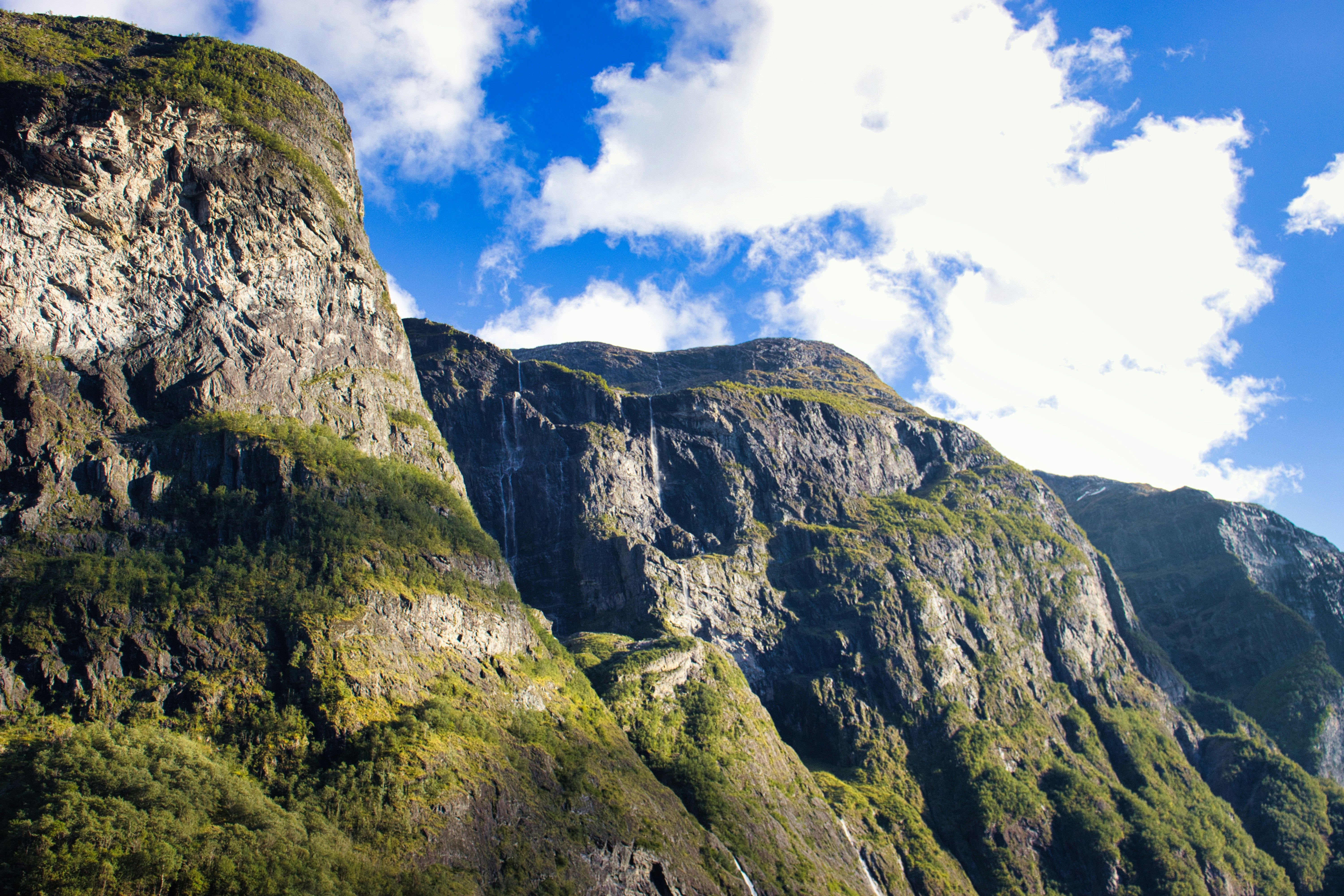 Photo by paws_and_prints