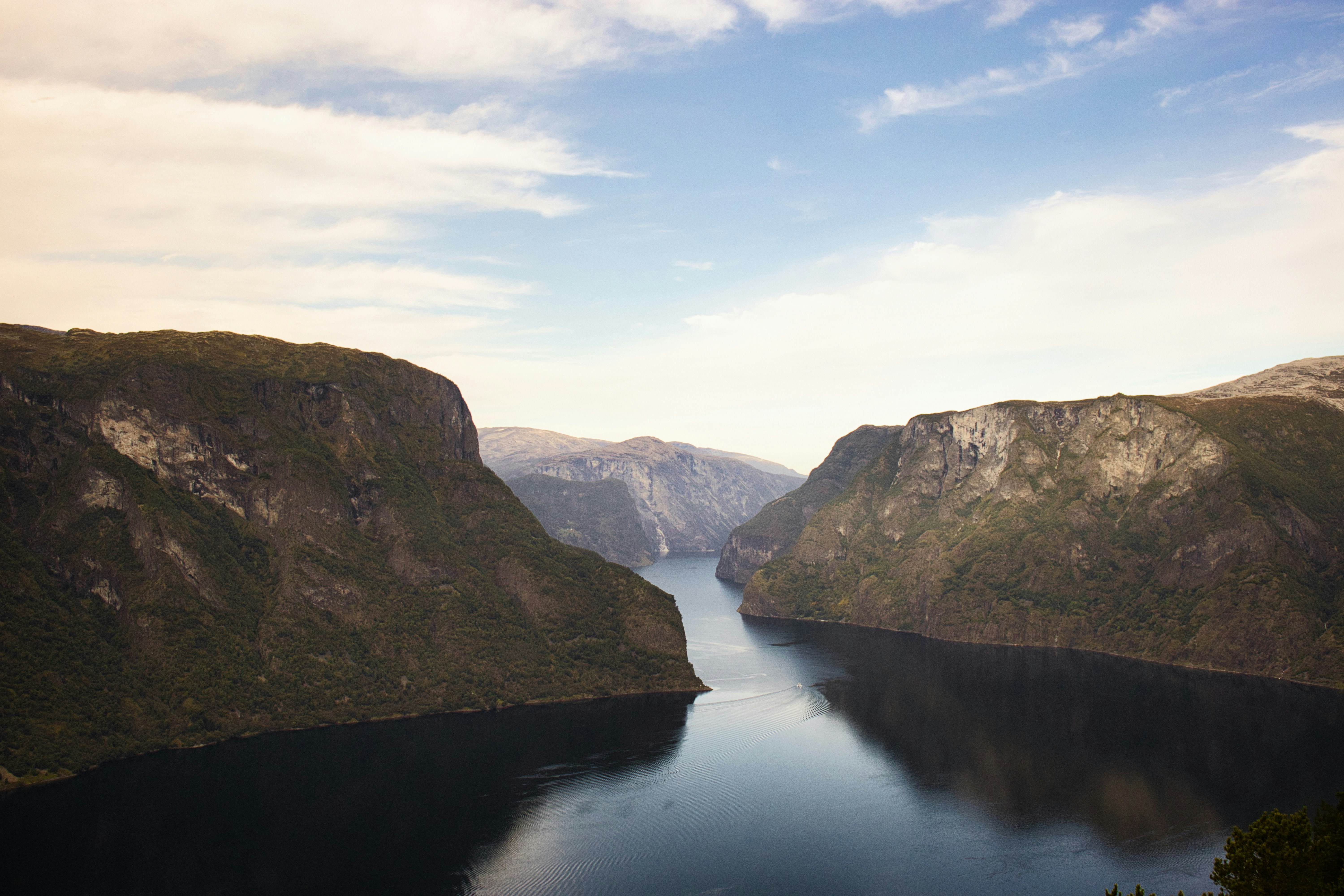 Photo by paws_and_prints