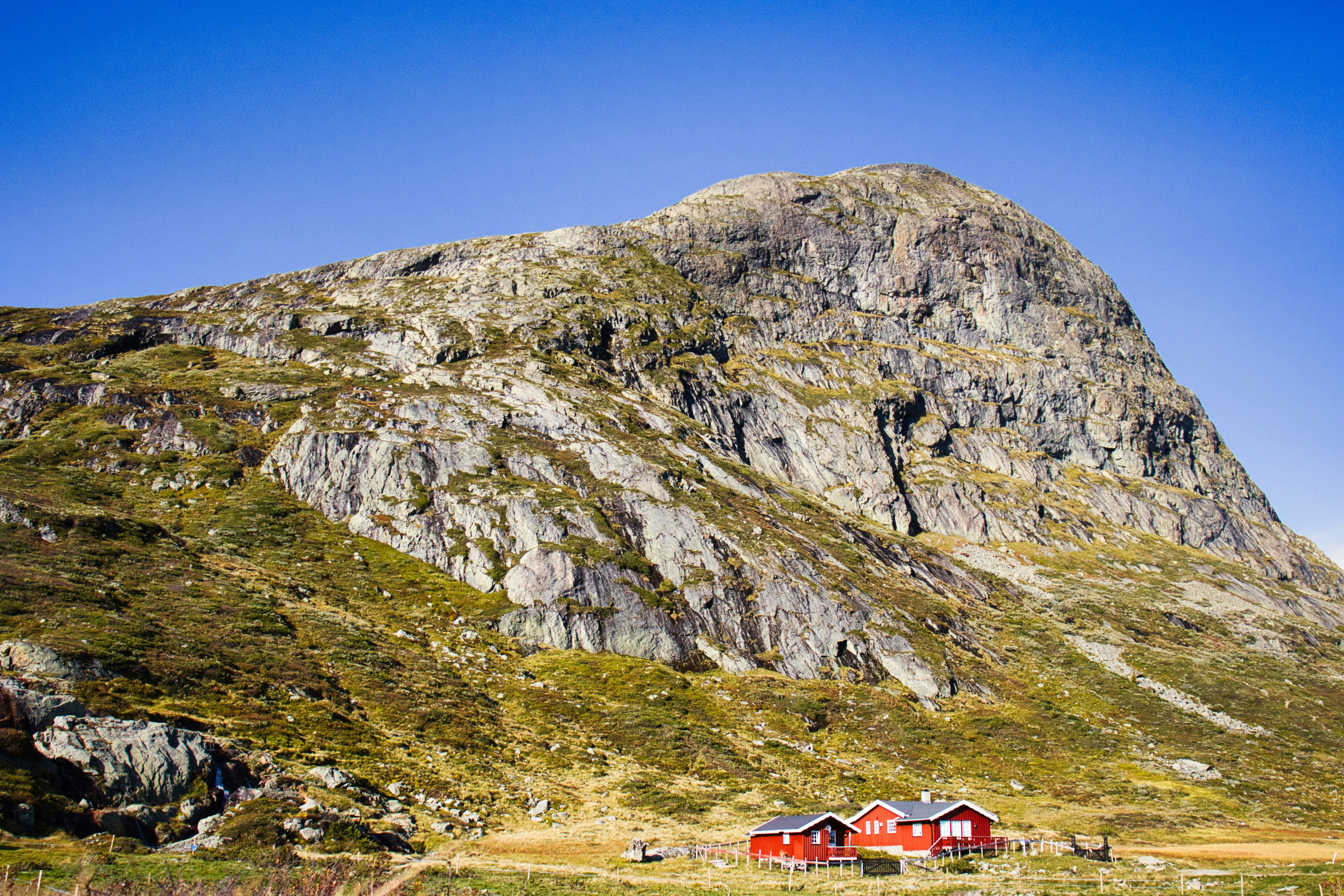 Photo by paws_and_prints