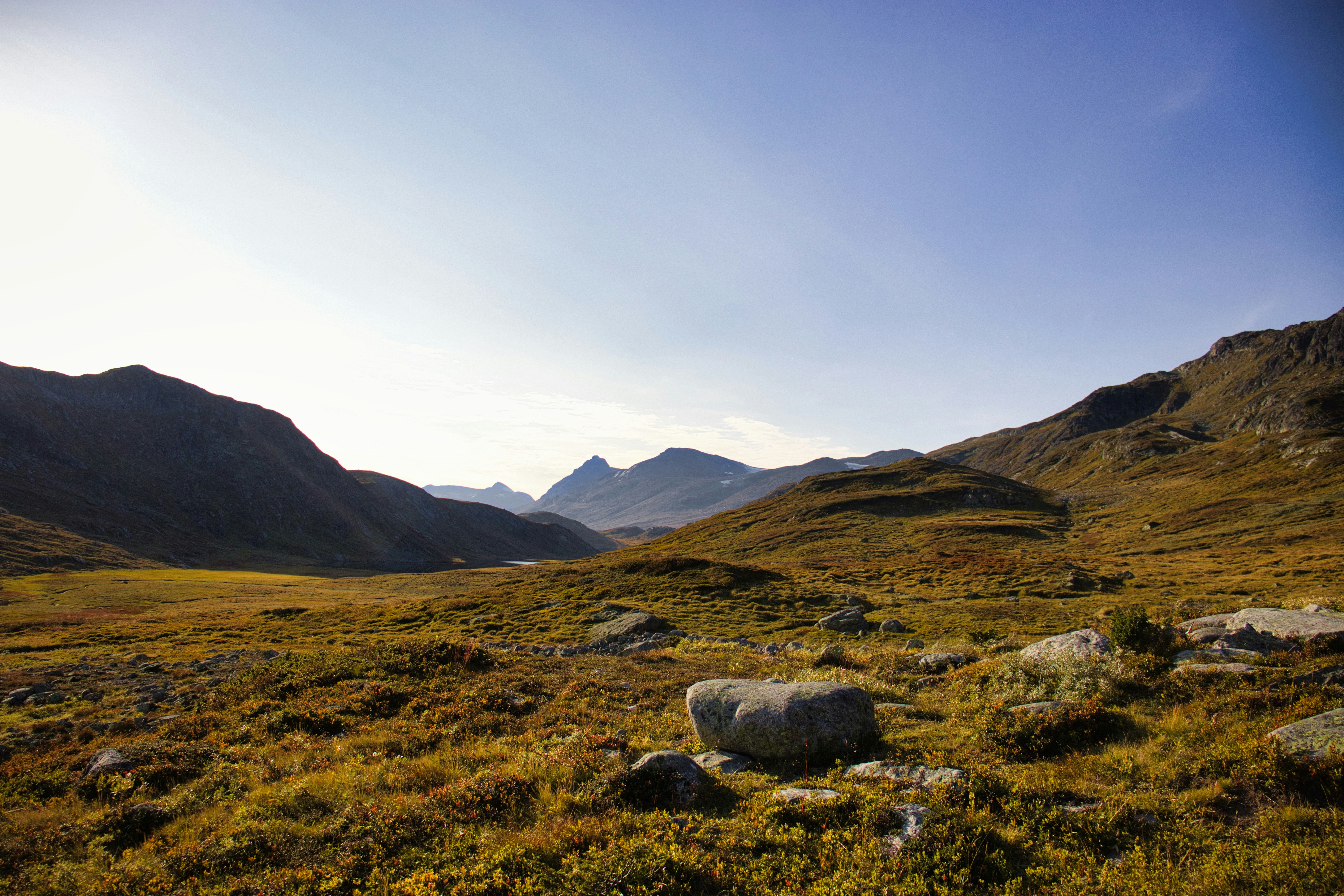 Photo by paws_and_prints