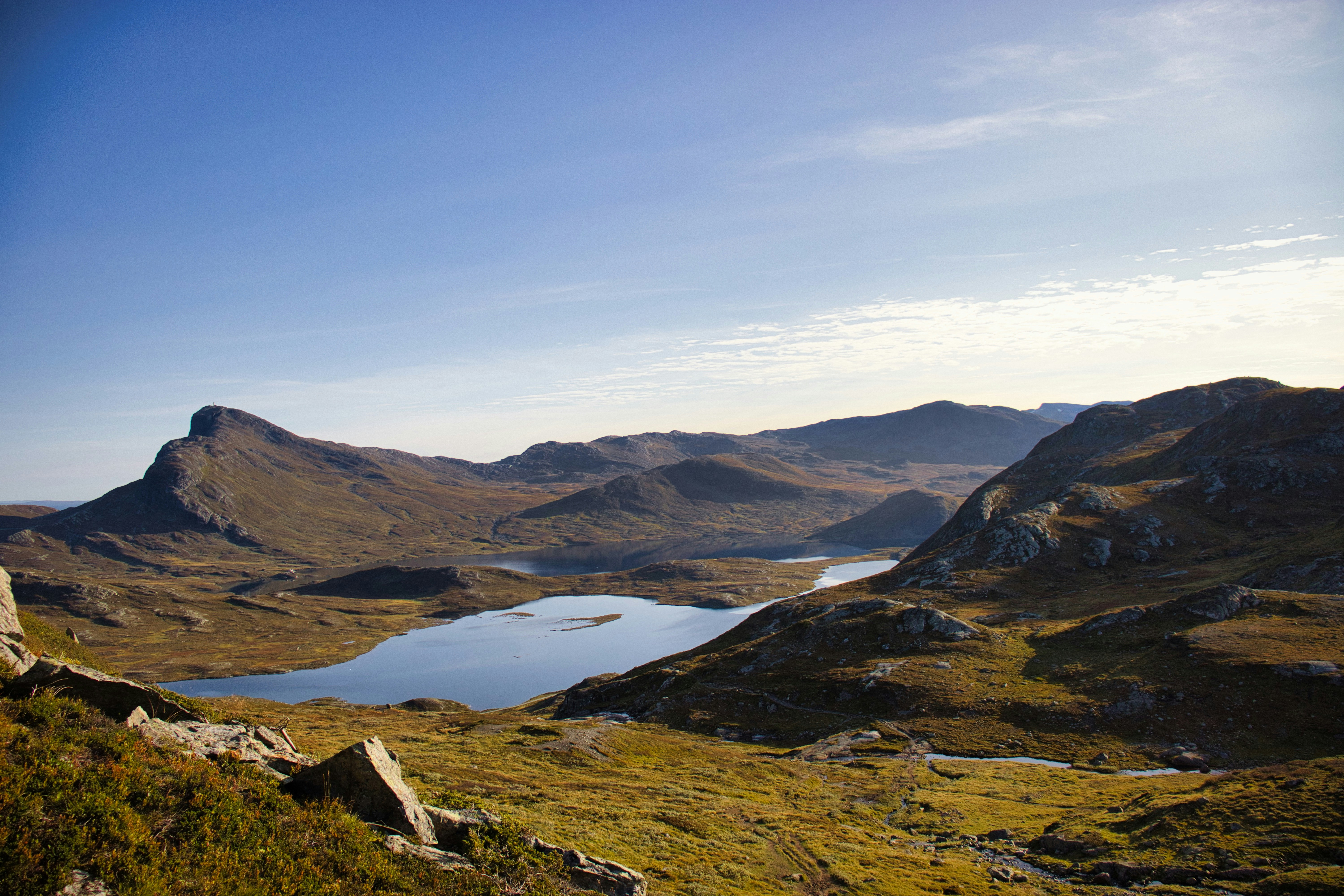 Photo by paws_and_prints