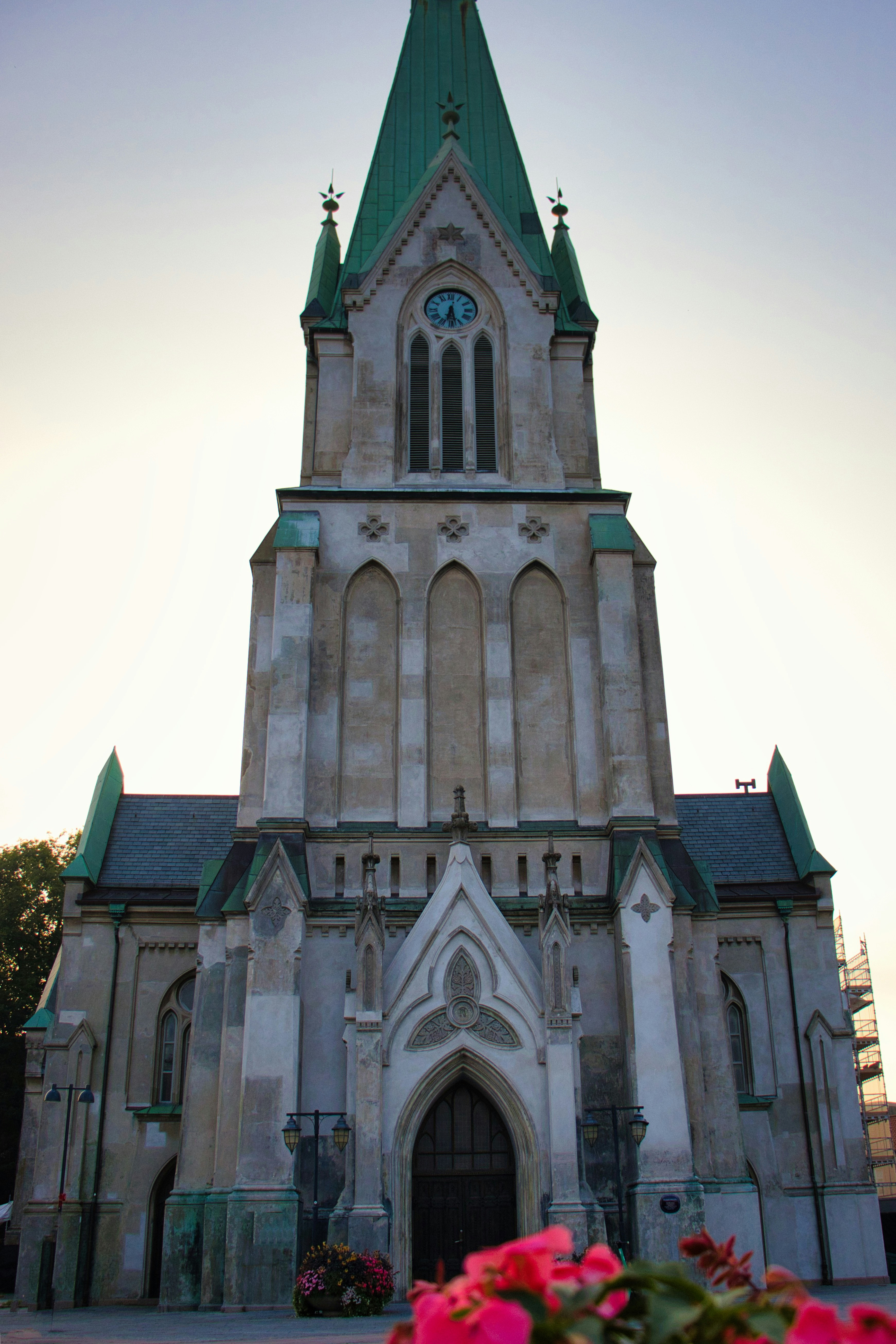 Photo by paws_and_prints