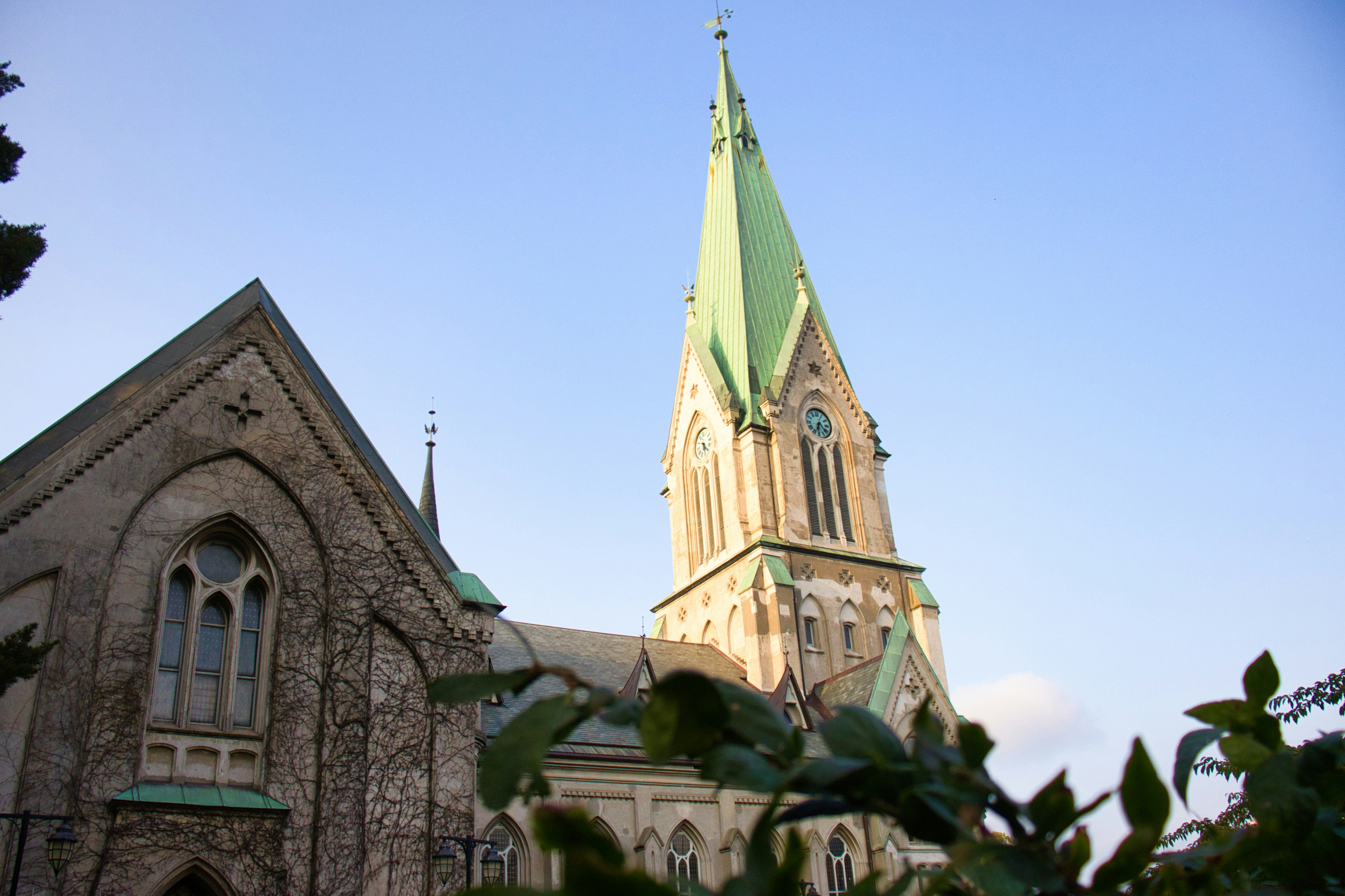 Photo by paws_and_prints