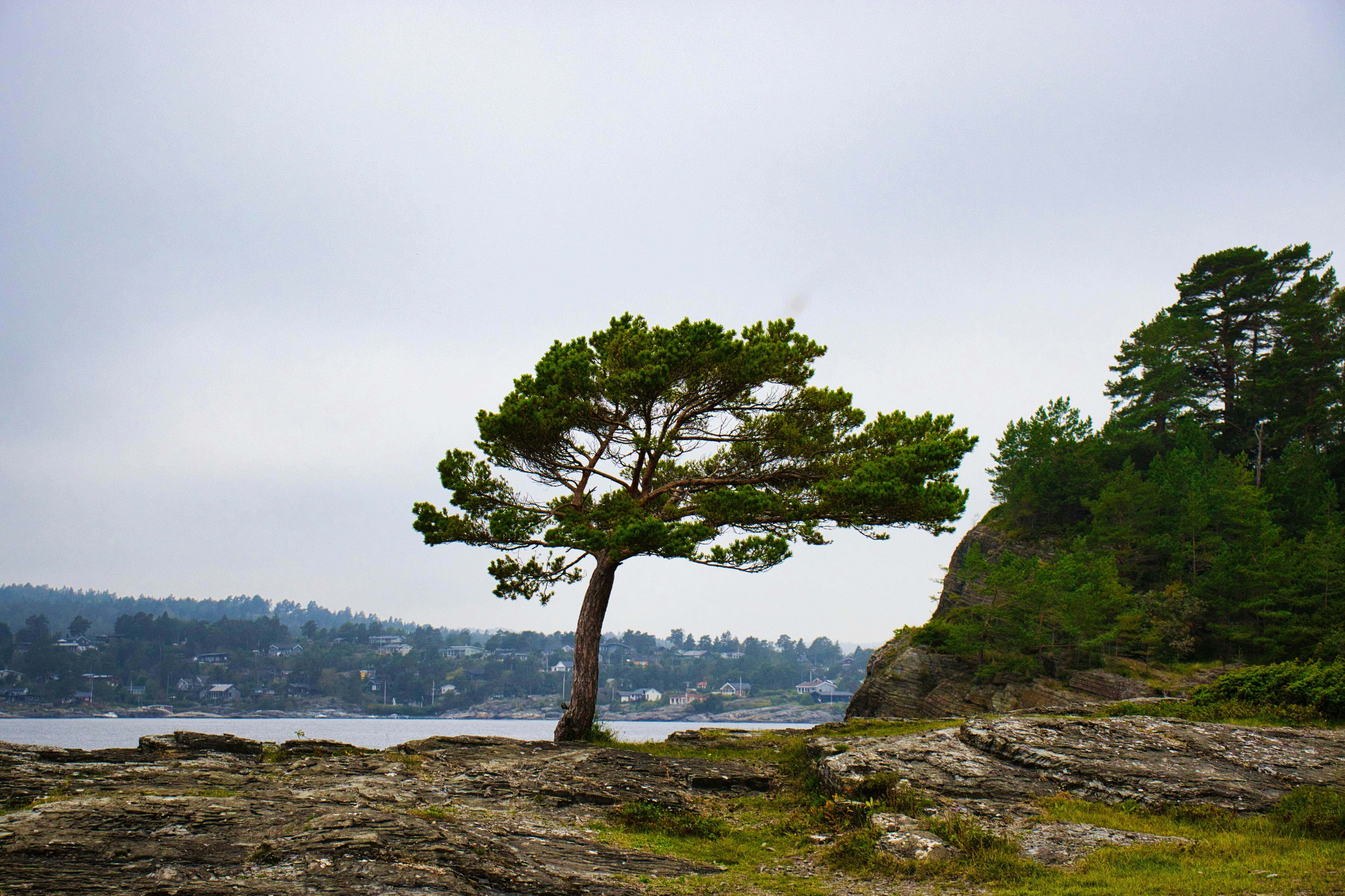 Photo by paws_and_prints