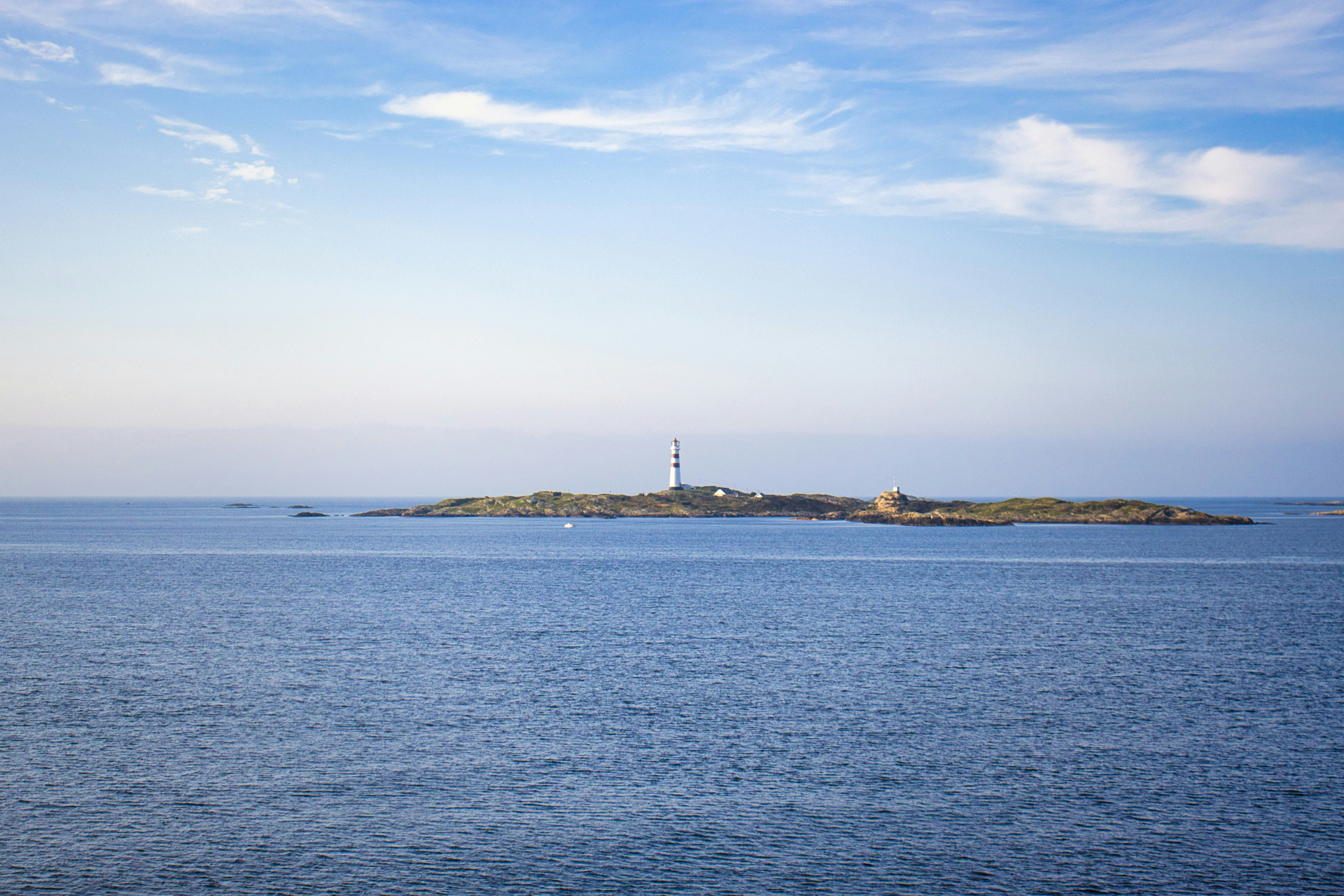 Photo by paws_and_prints