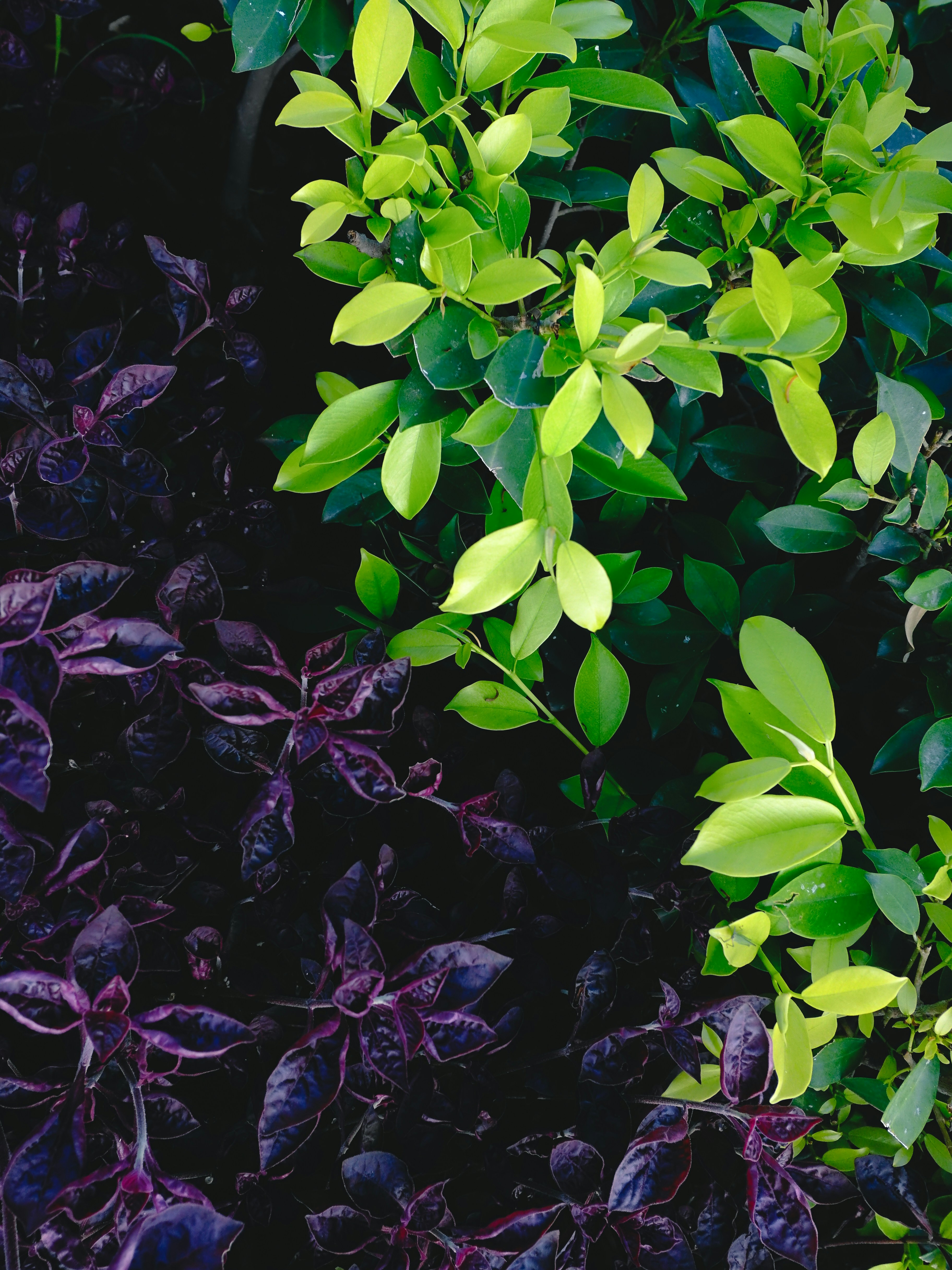 Photo by prashantbrahmbhatt