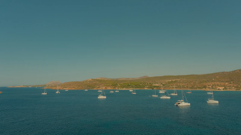 Sailboats anchored in a calm bay