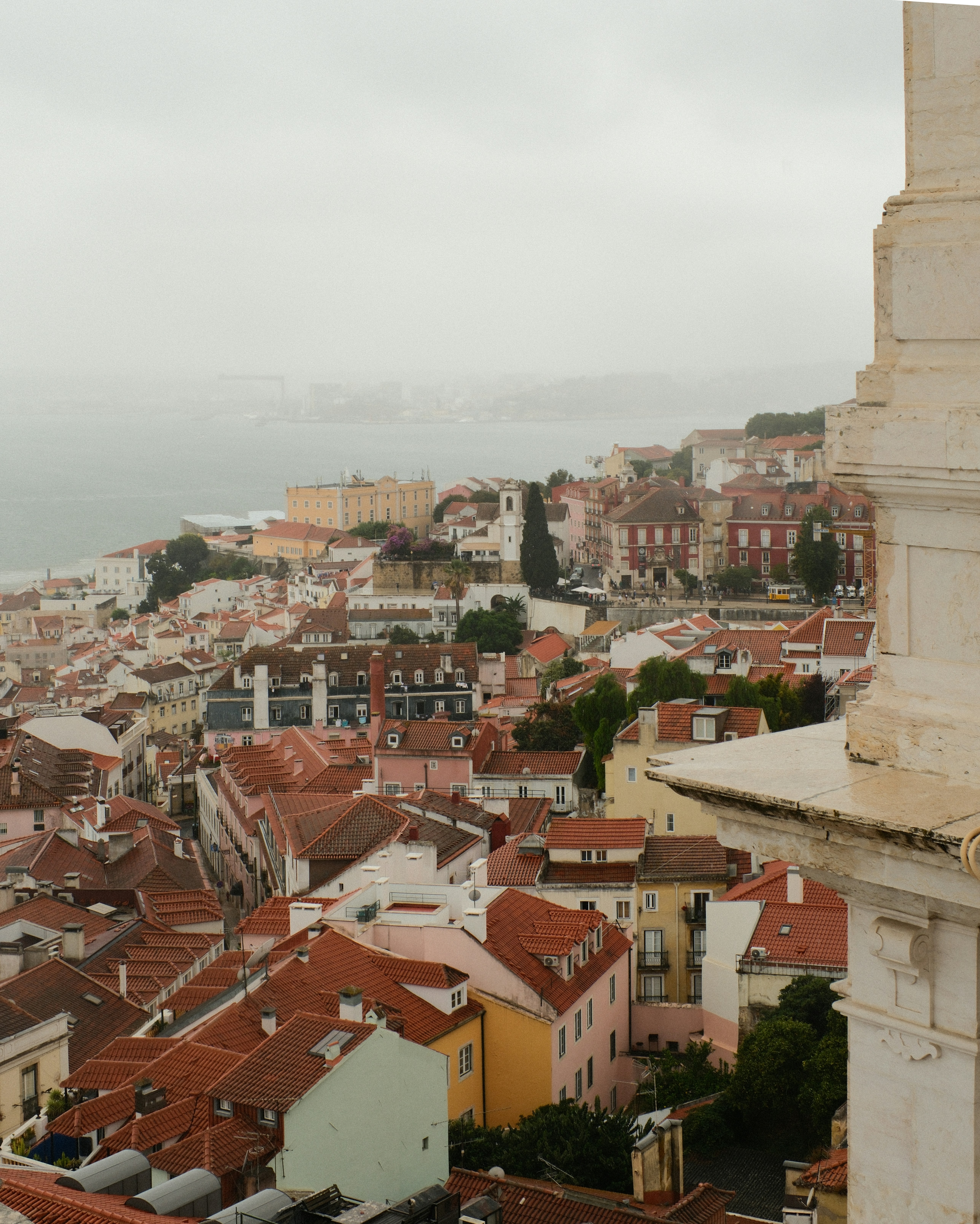 Photo by farnaz________