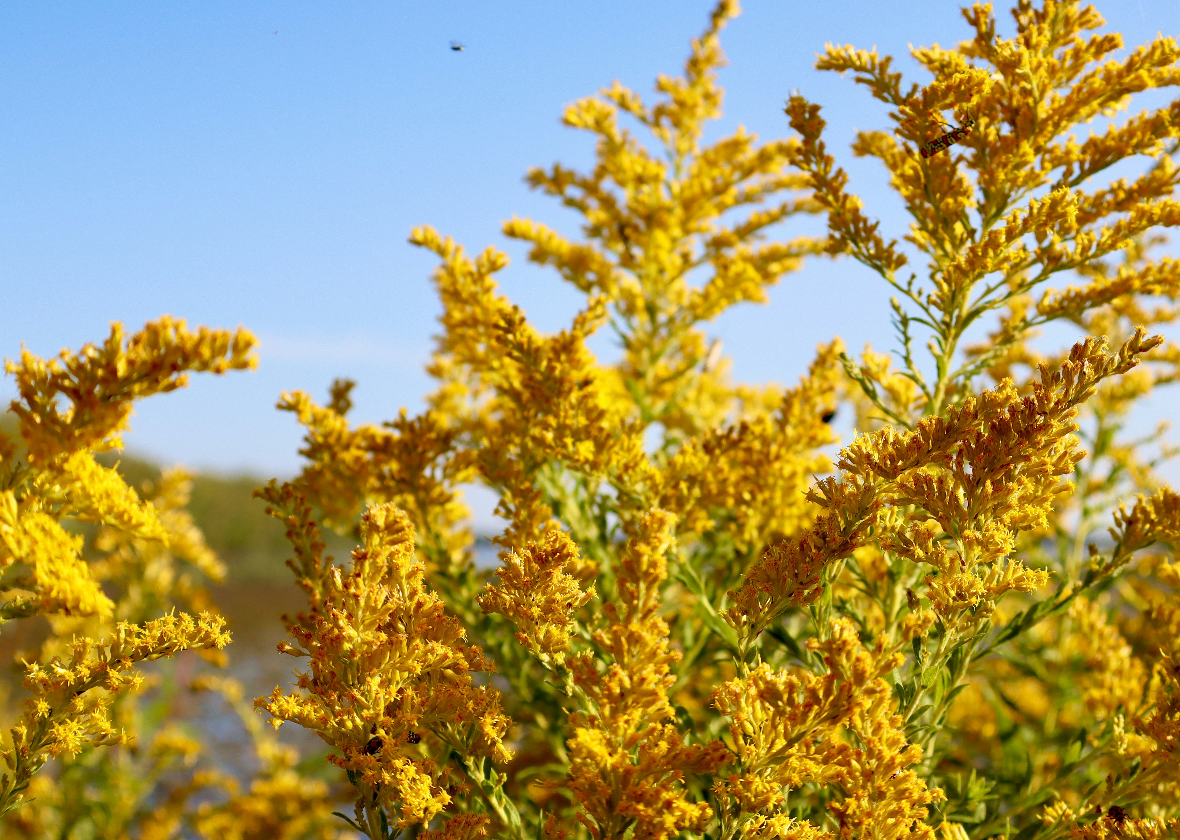 Photo by heatherlauraaah