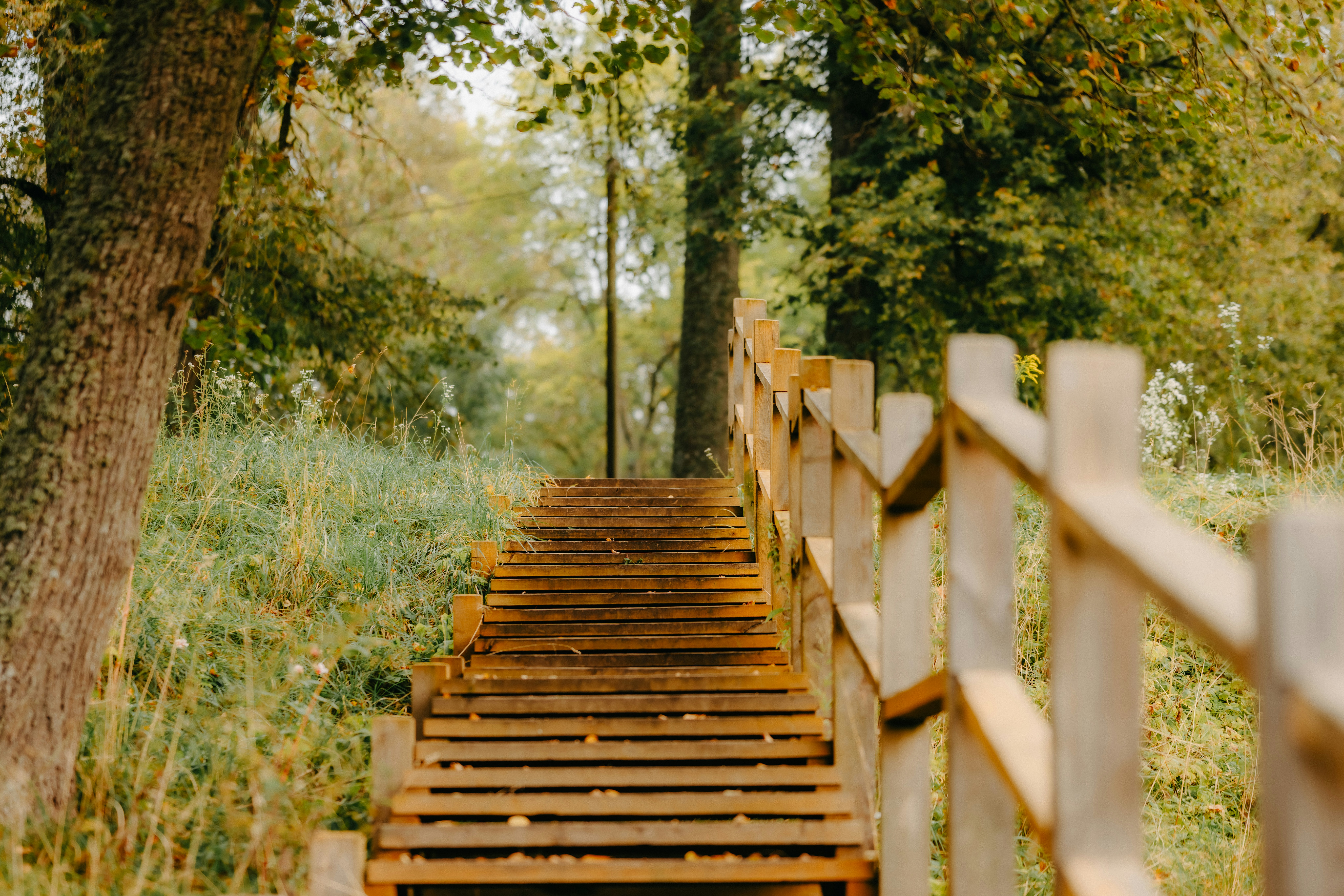 Photo by kristapsungurs