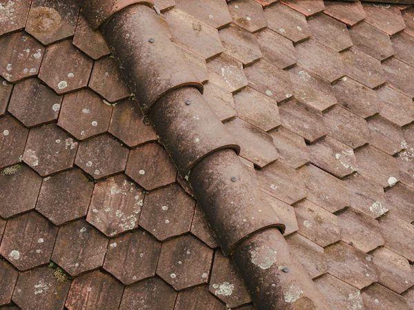 Moss on a tiled roof before cleaning