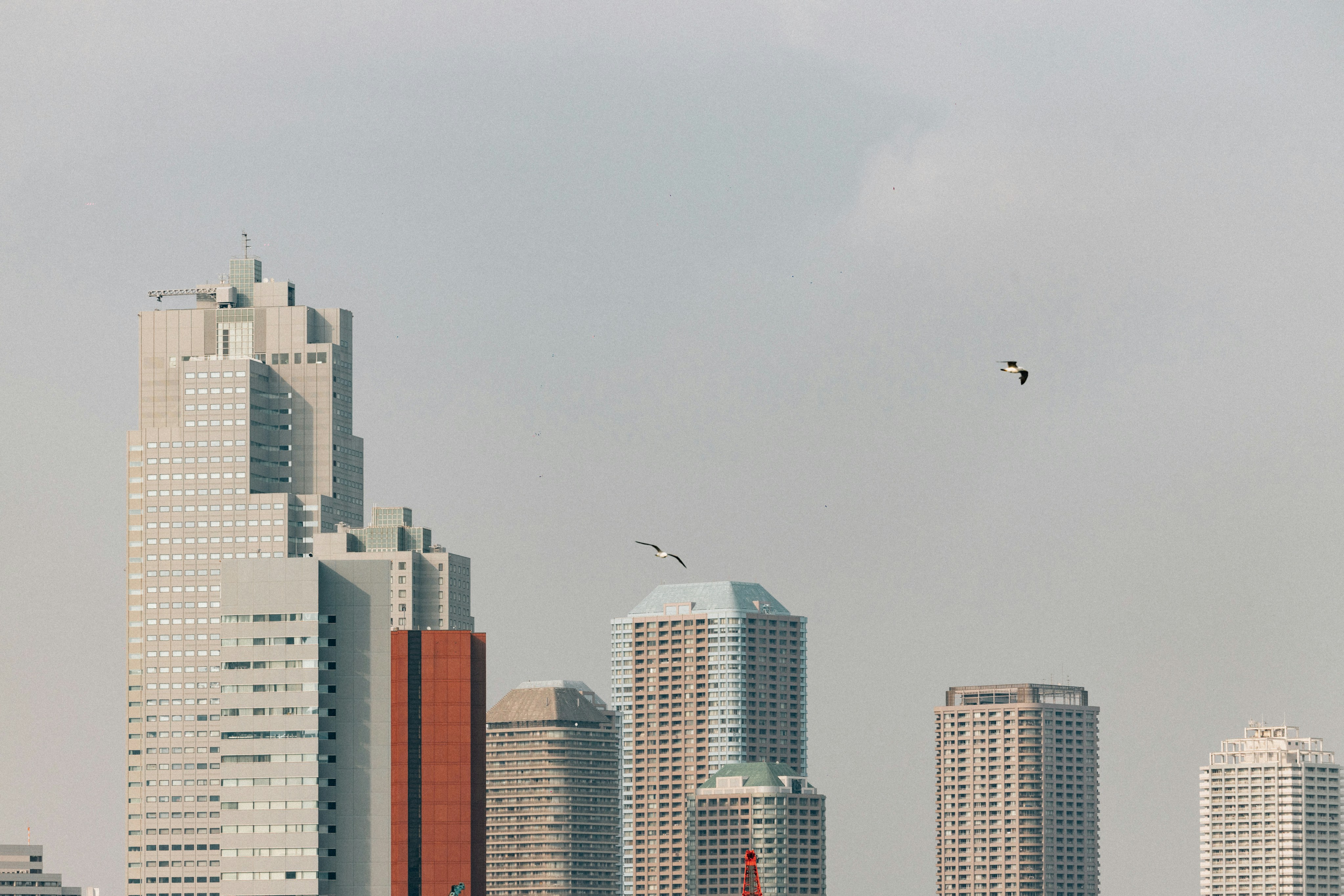 Photo by tsuyoshikozu