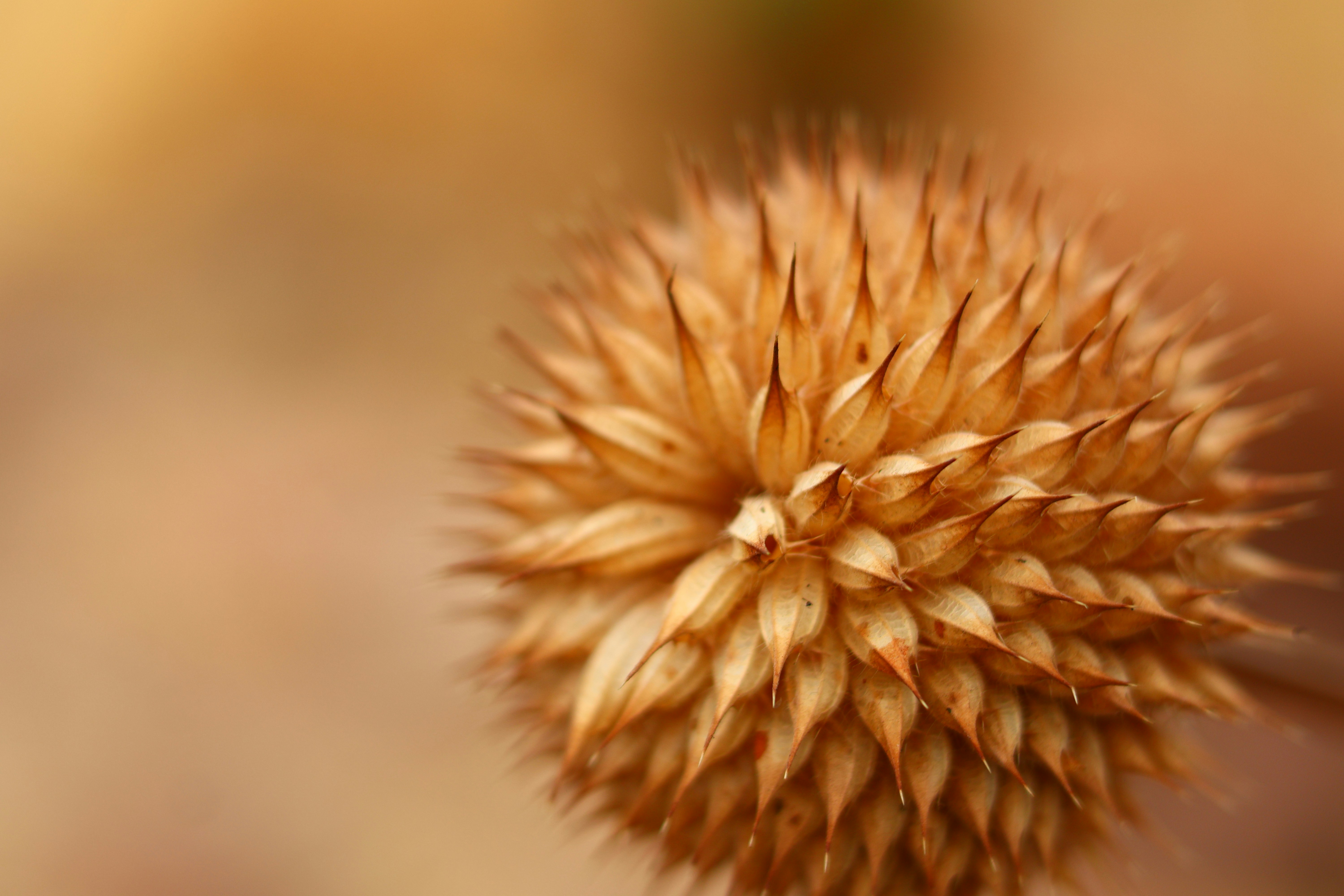 Photo by tlou_manamela