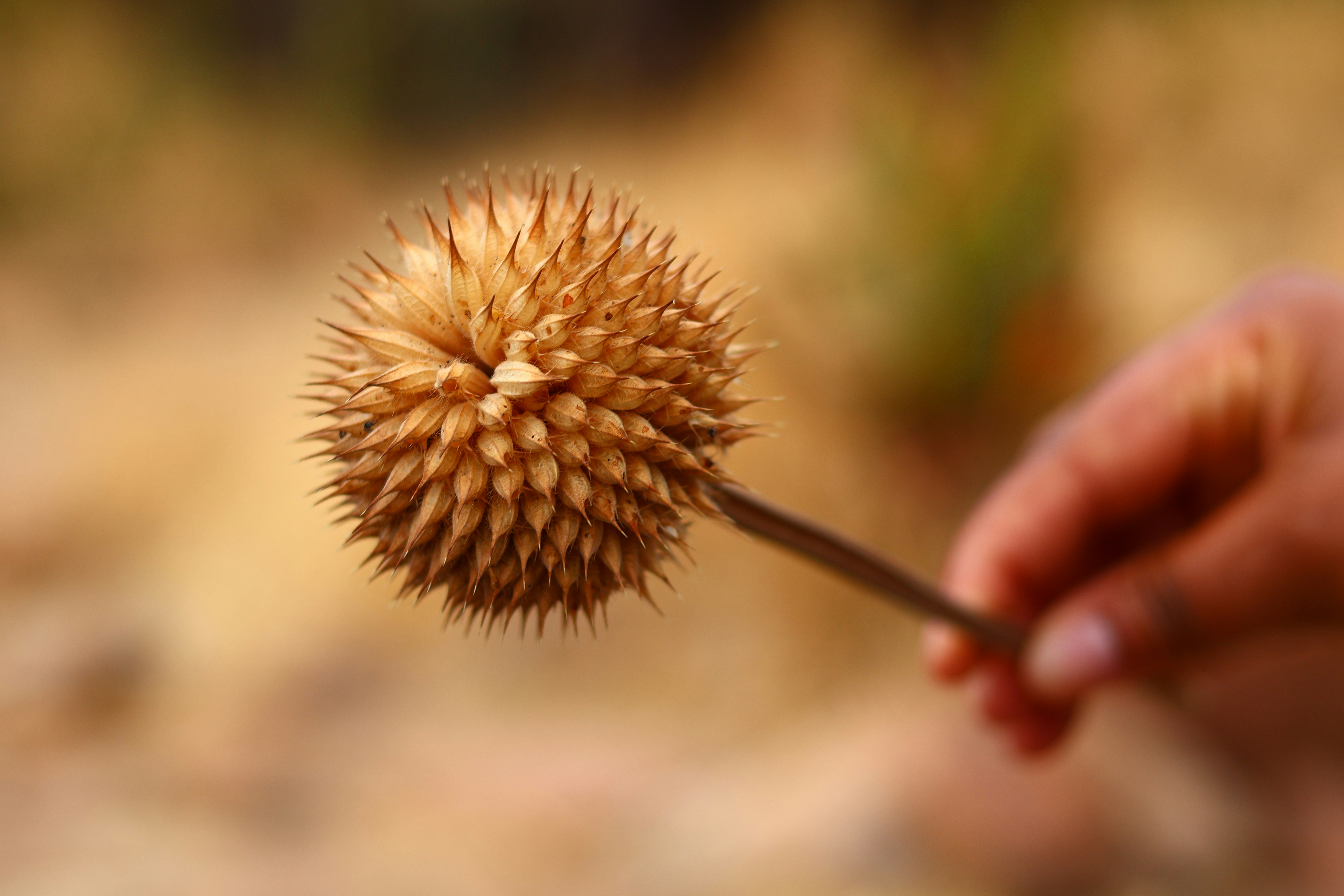 Photo by tlou_manamela