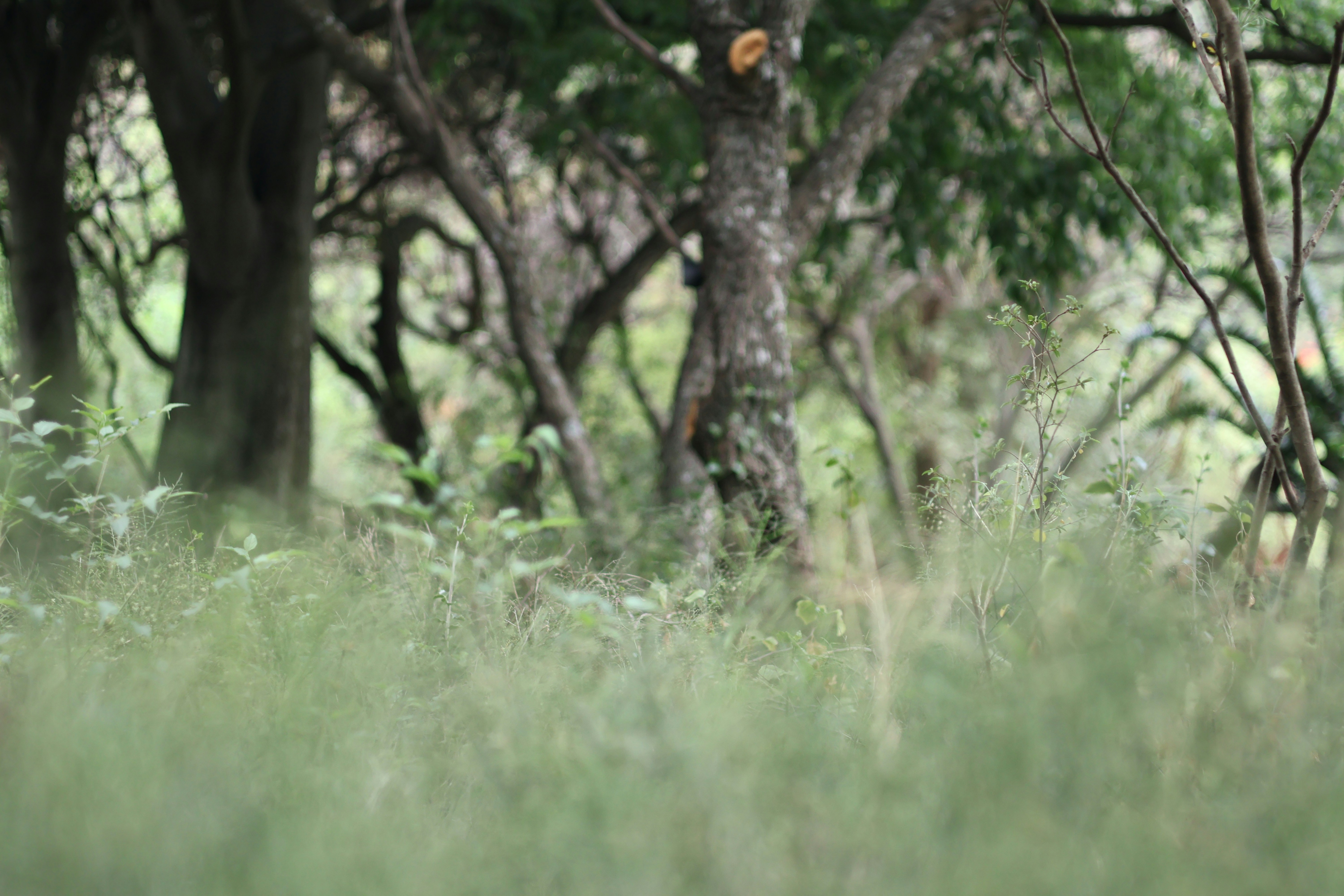 Photo by tlou_manamela