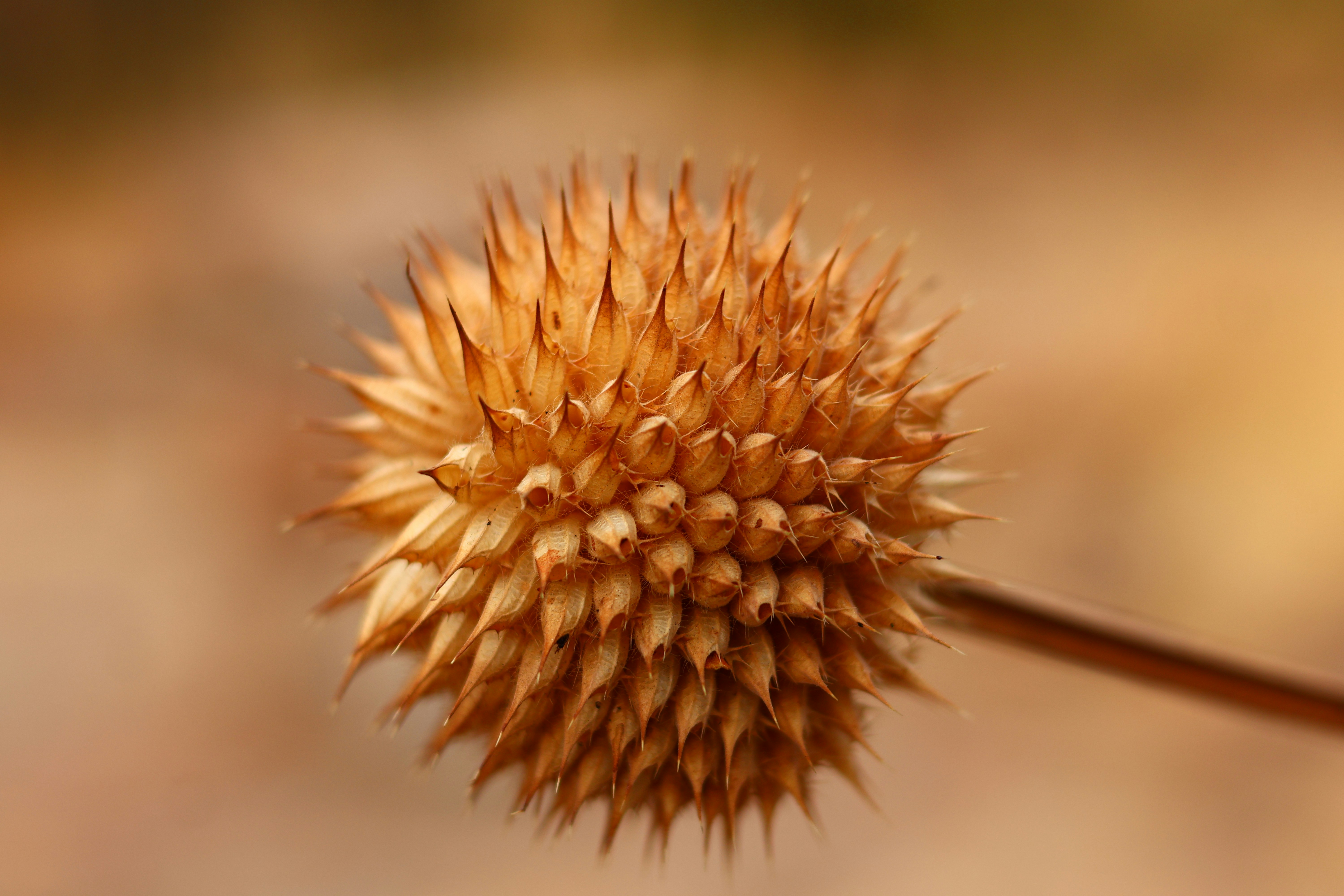 Photo by tlou_manamela