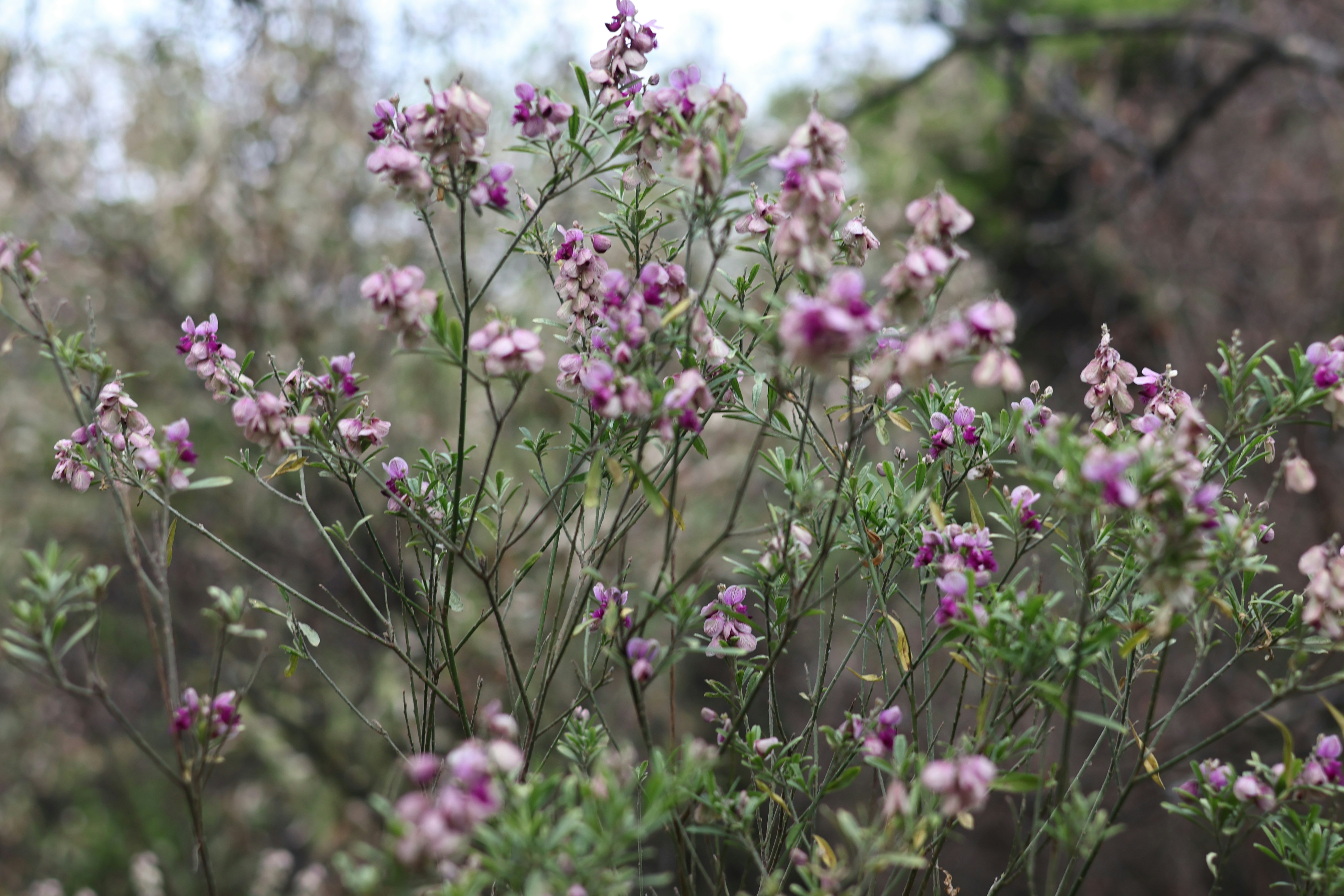 Photo by tlou_manamela