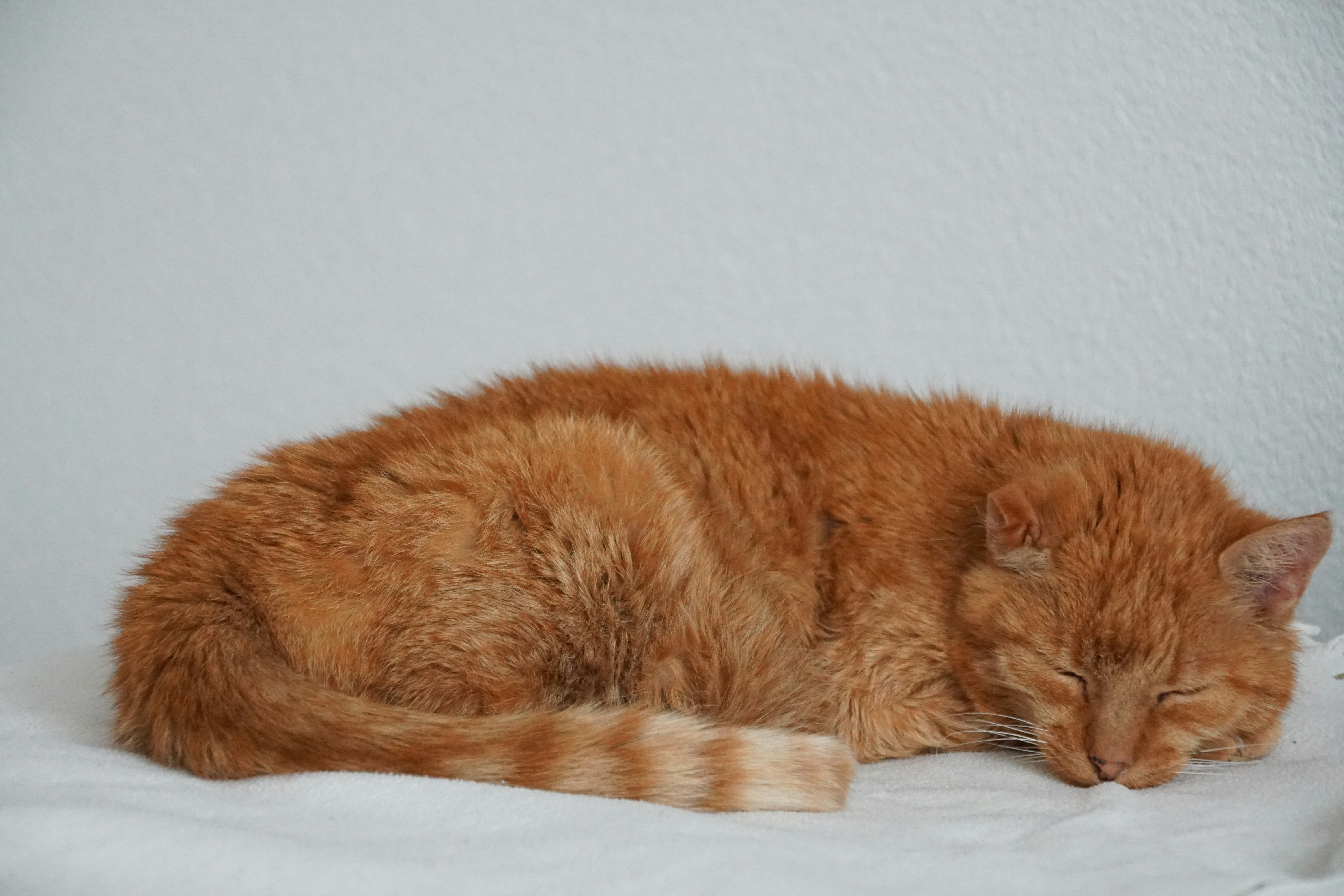 Photo by ingo_scheffer