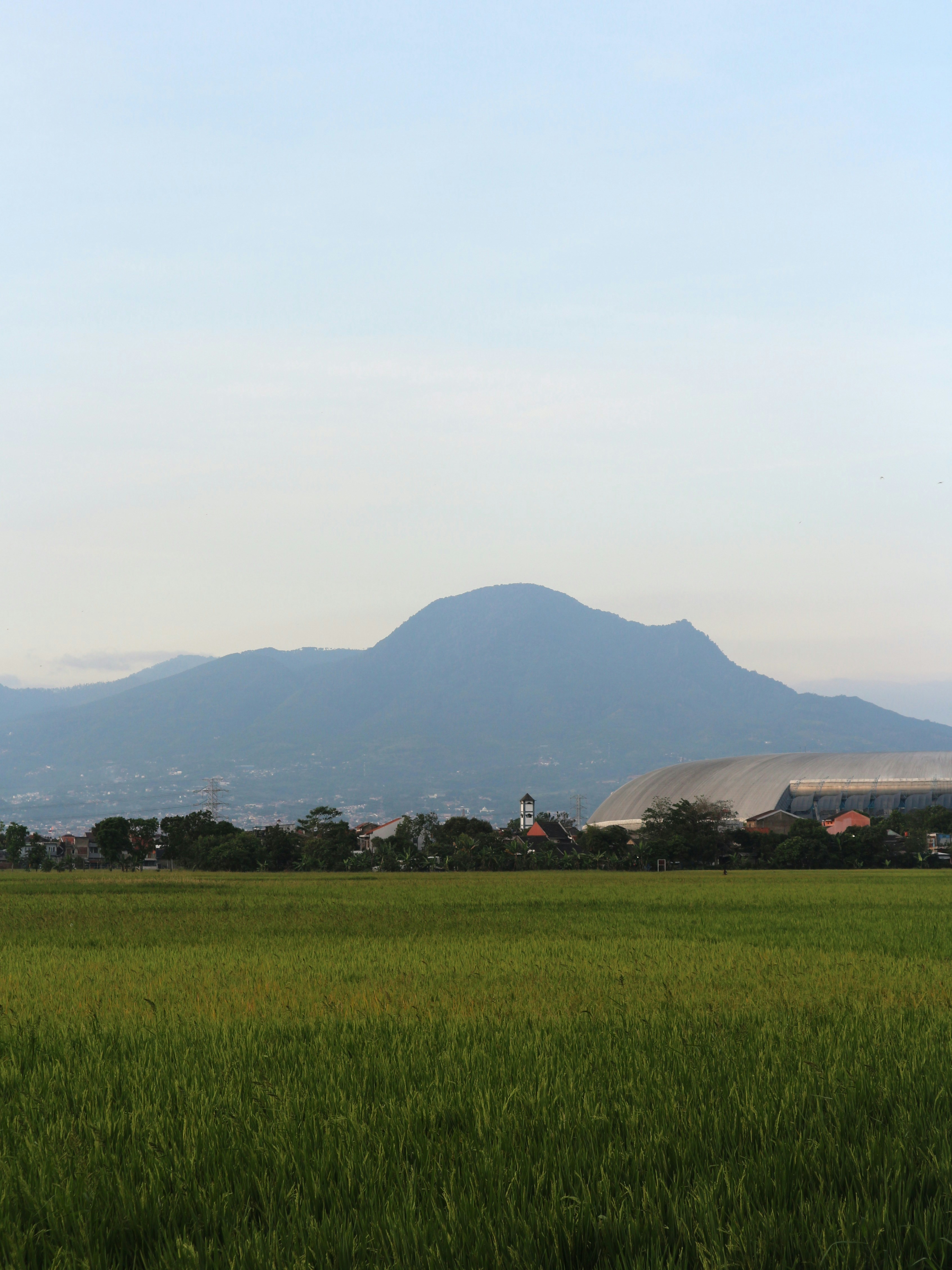 Grüne Wiese mit fernen Bergen und Gebäuden