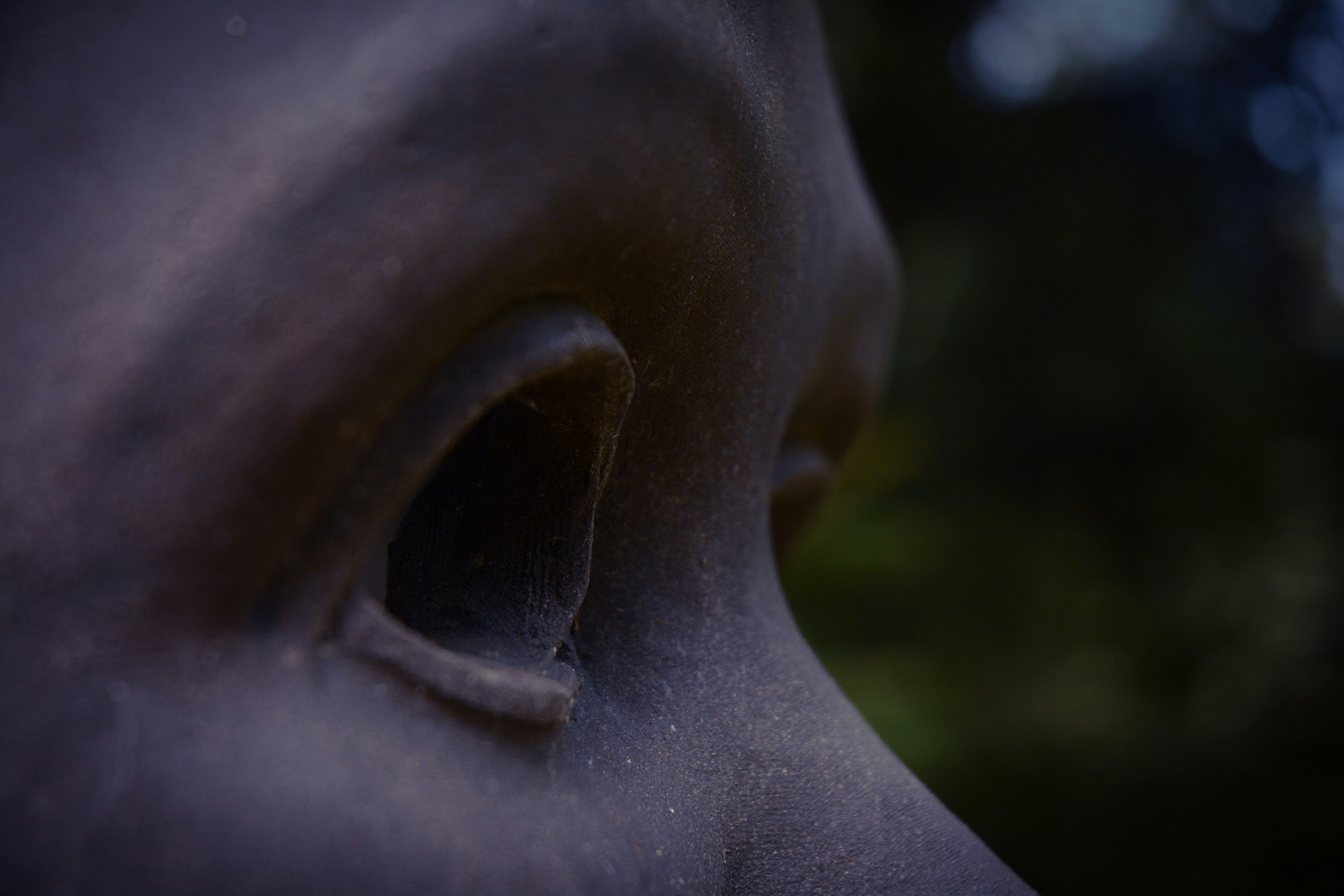 Photo by theoroberts