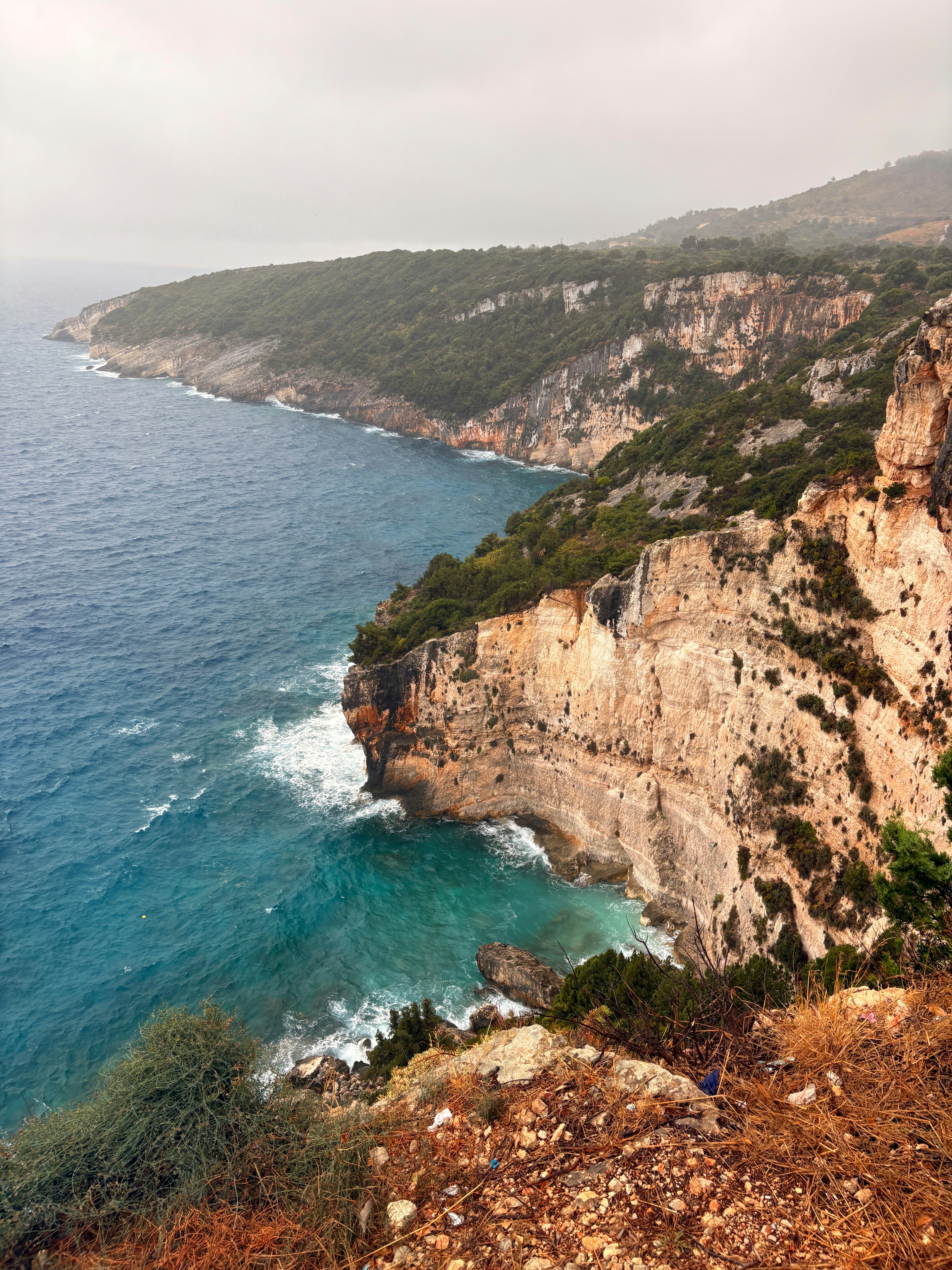 Photo by raymondpetrik