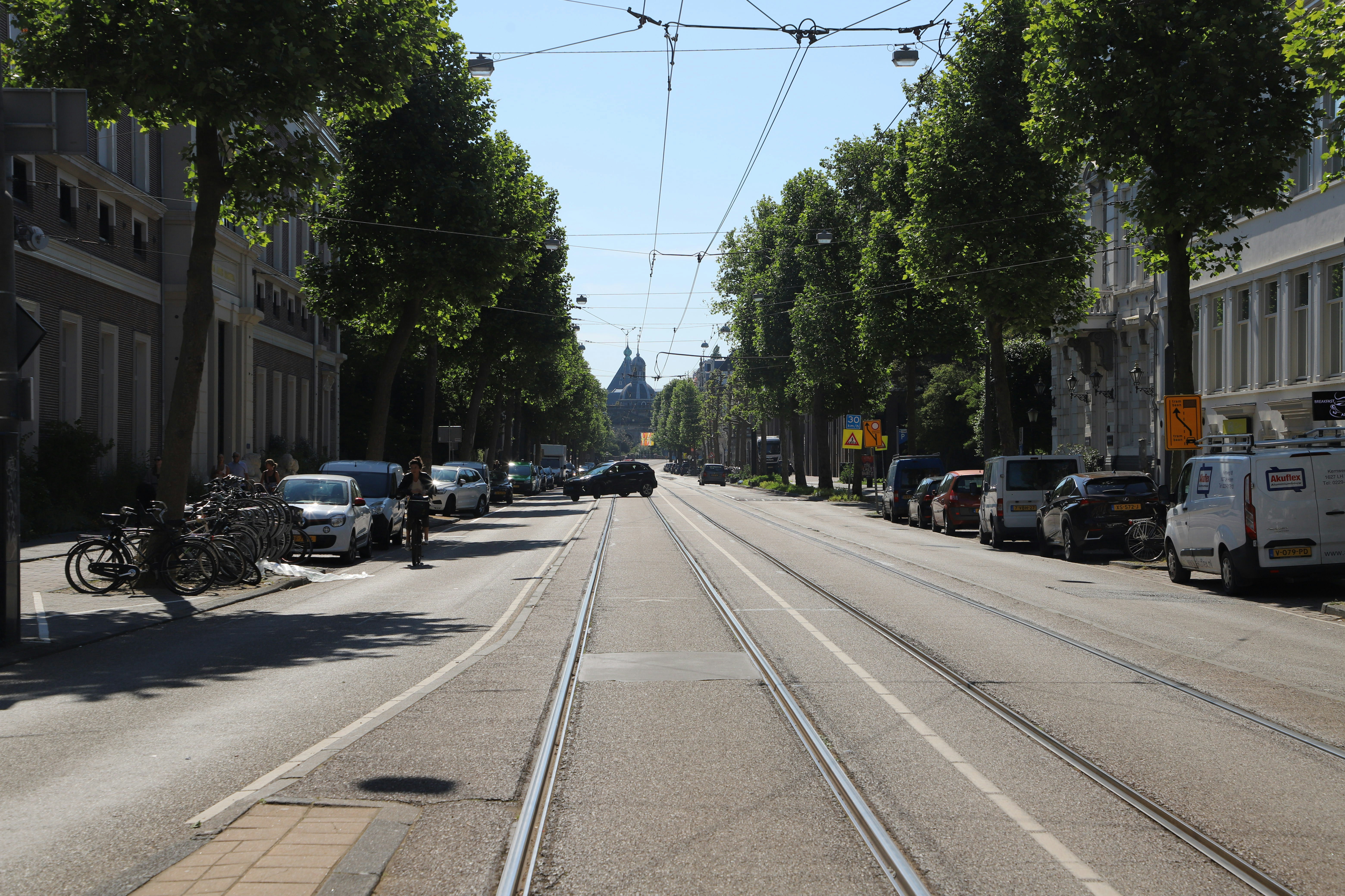 Trams on a sunny street lined with trees and buildings