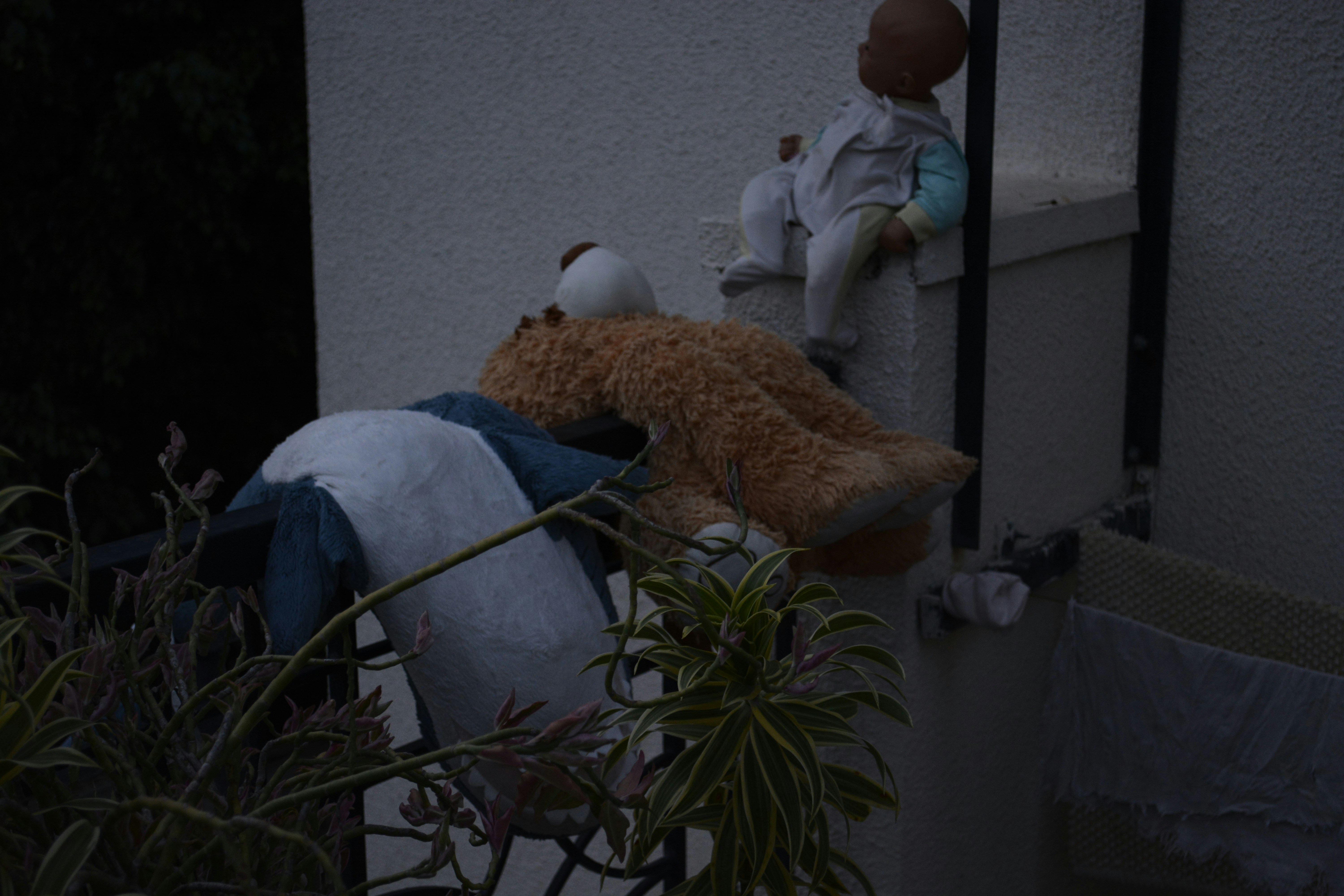 Teddy bear and doll on a ledge