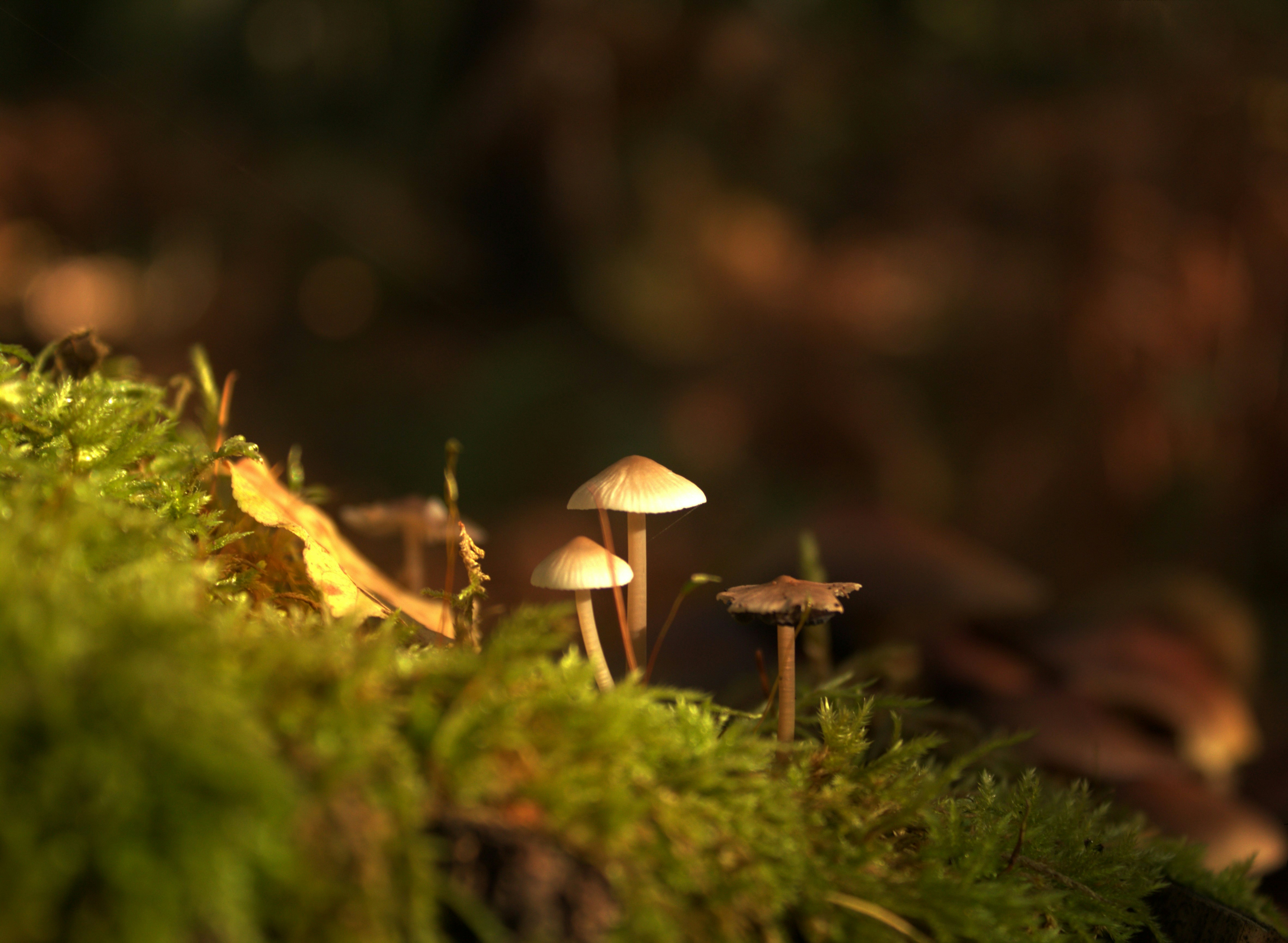 Photo by zuzkafotografuje