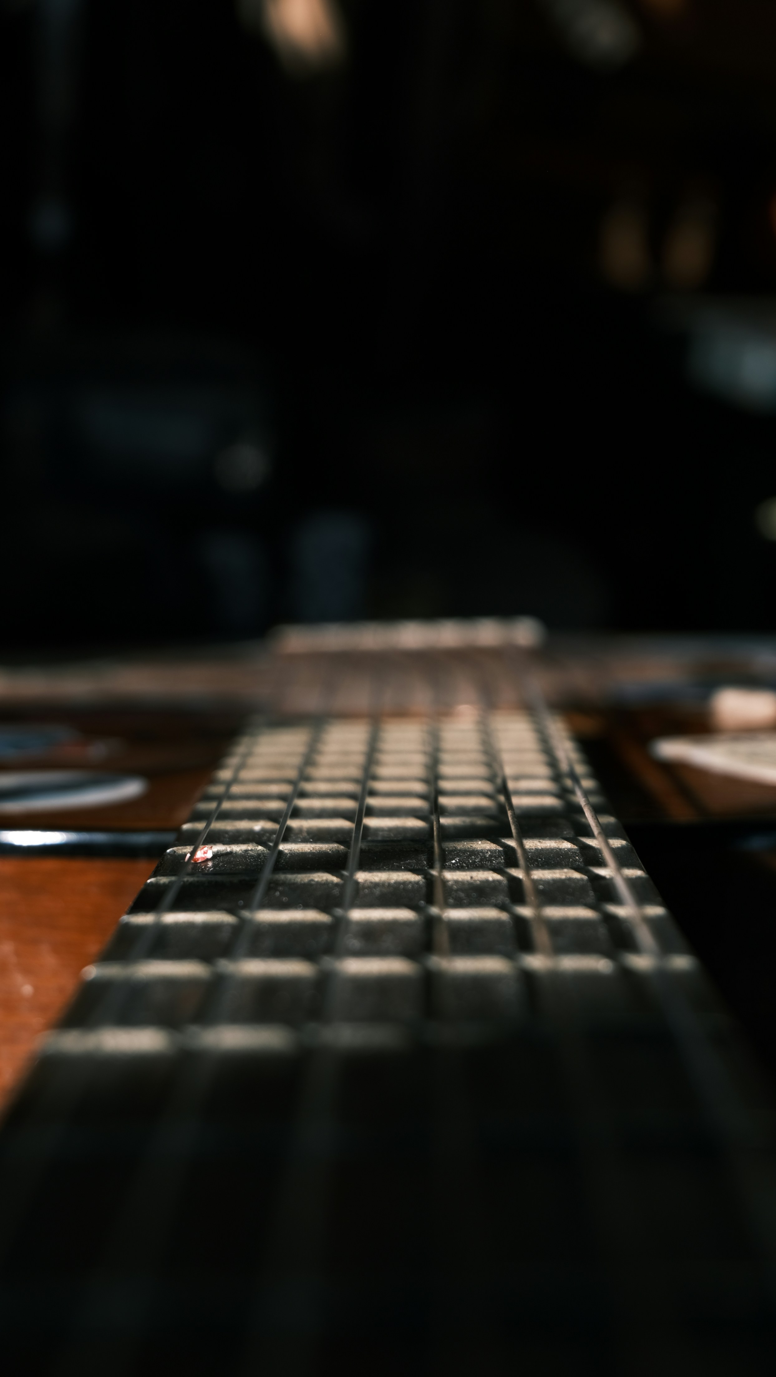 Close-up of a guitar fretboard and strings.